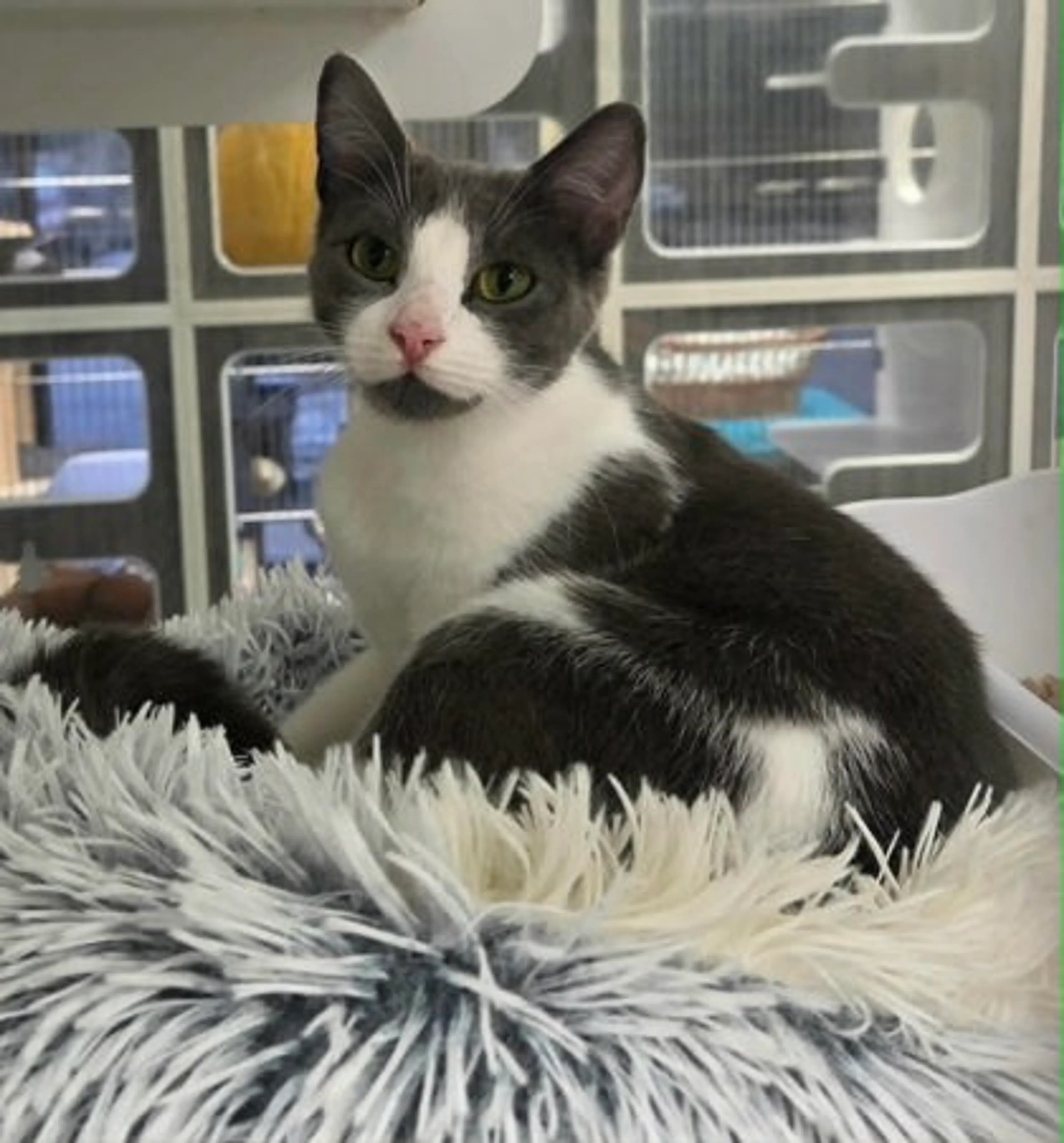 -0