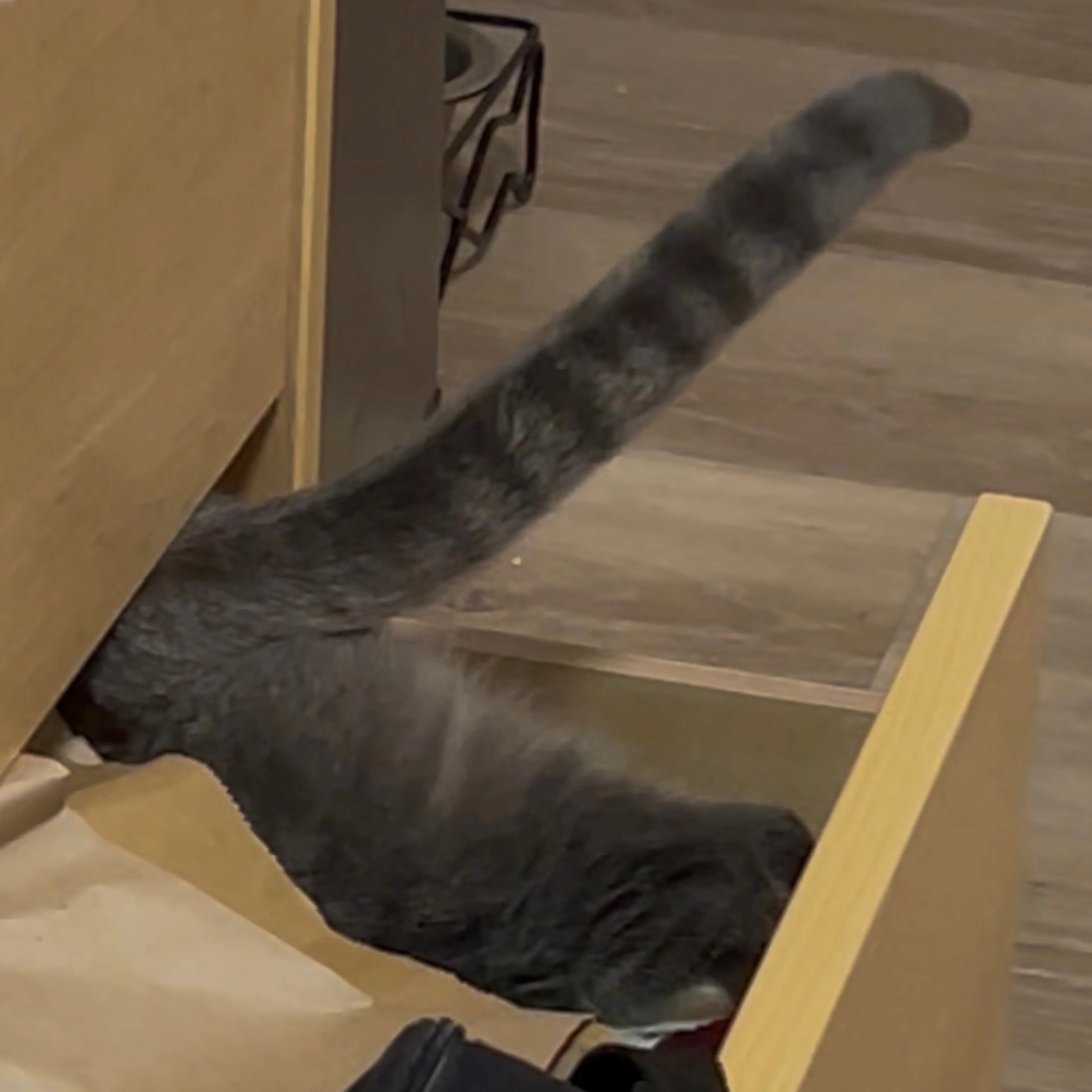 -3