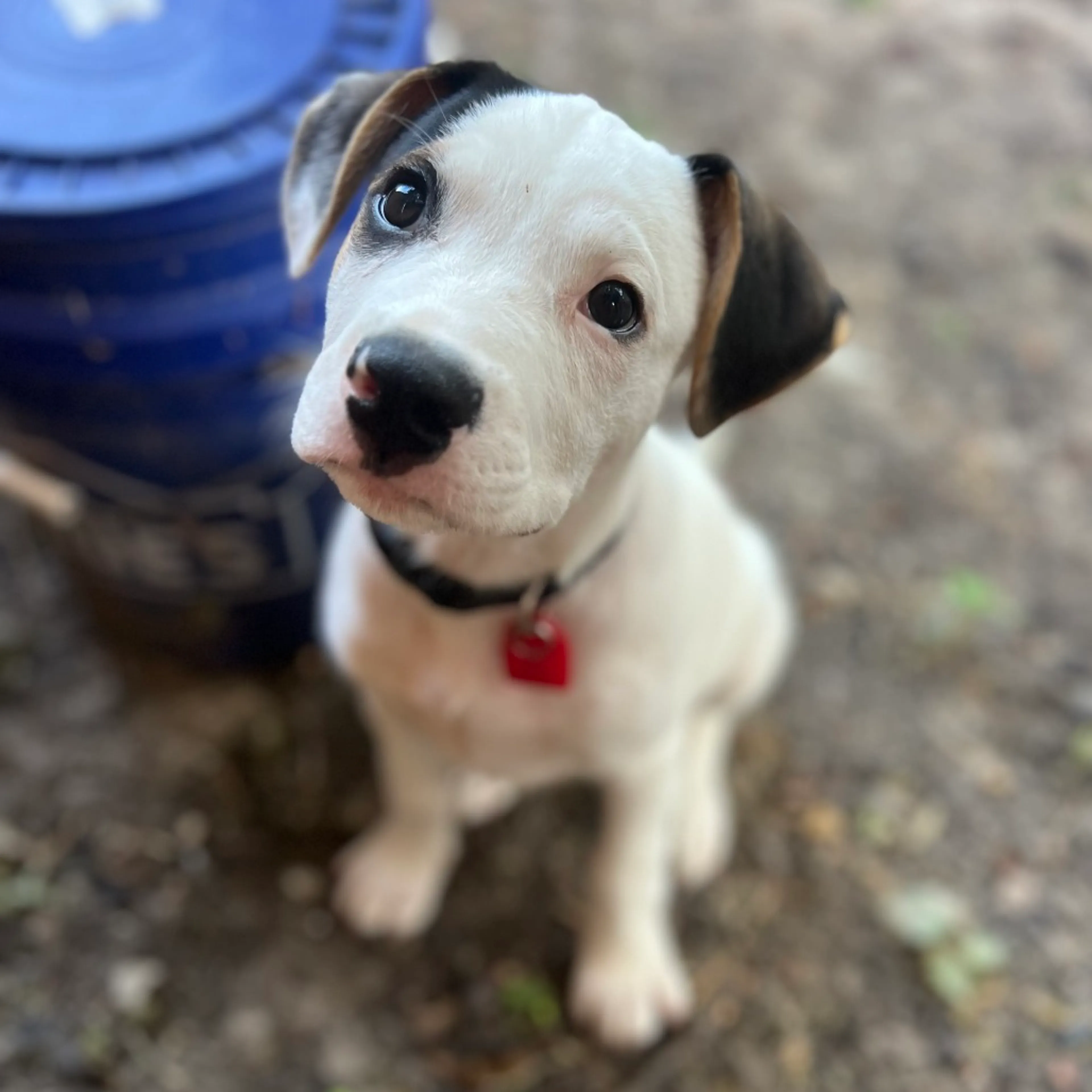 -0