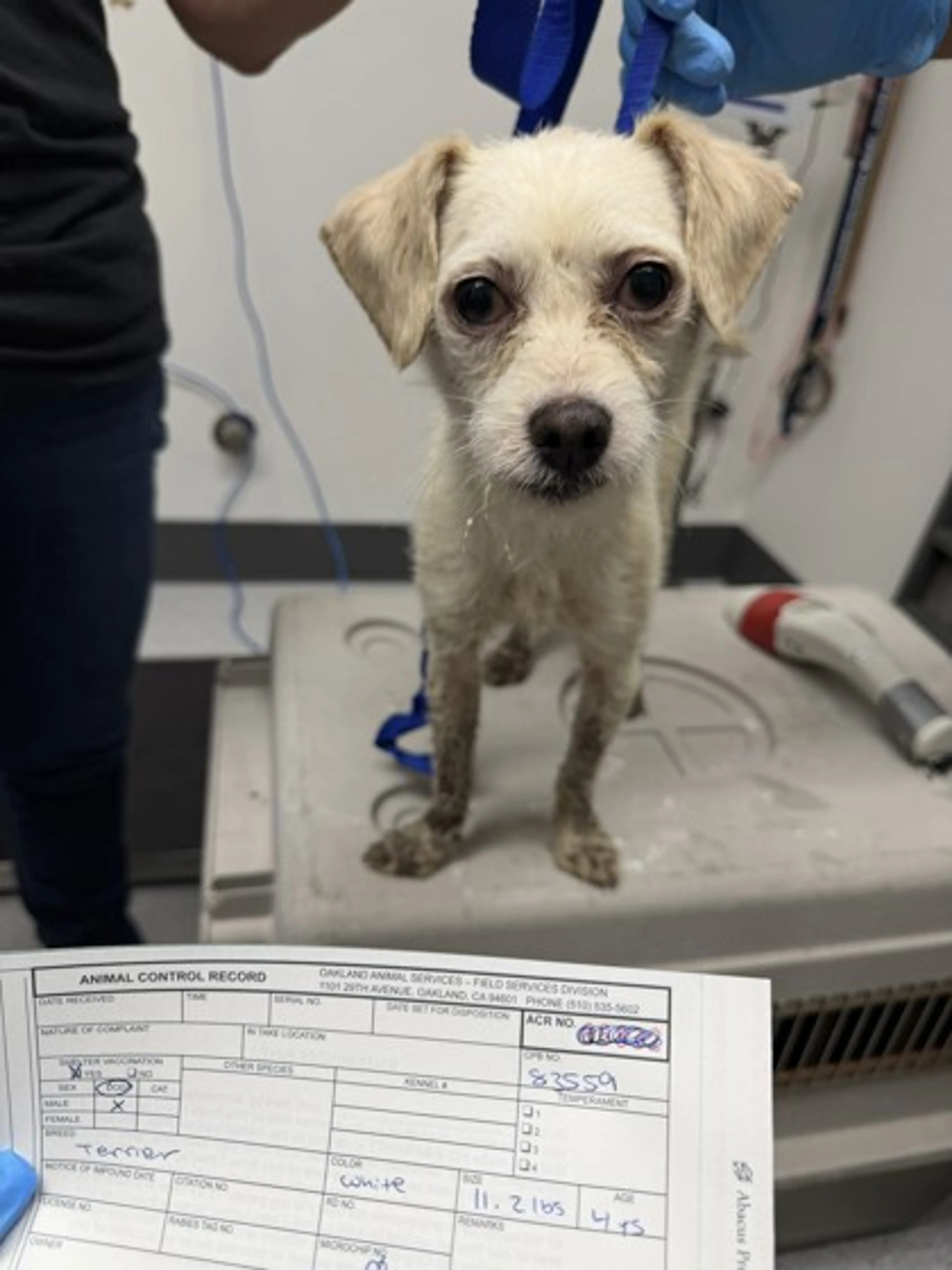 -1
