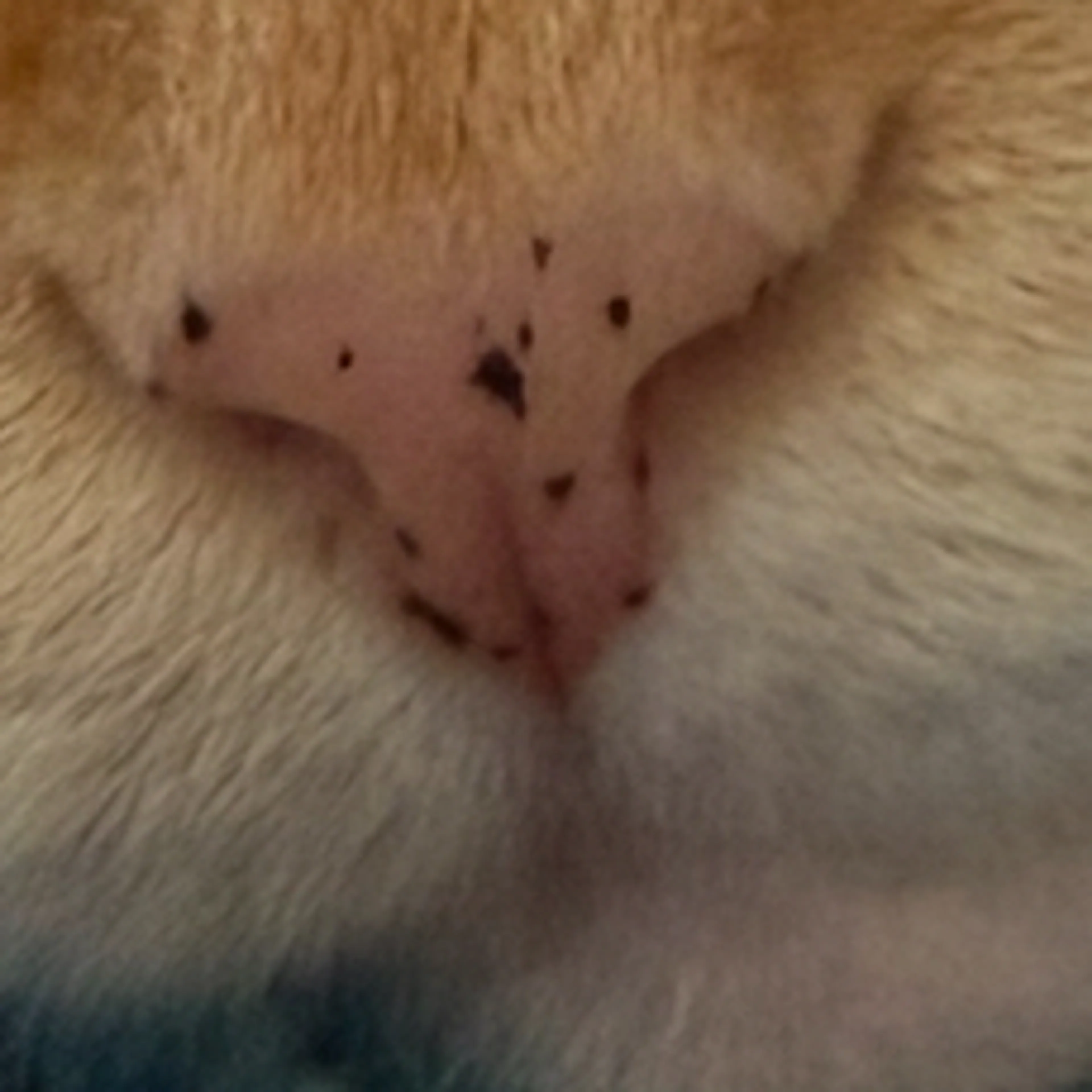 -3