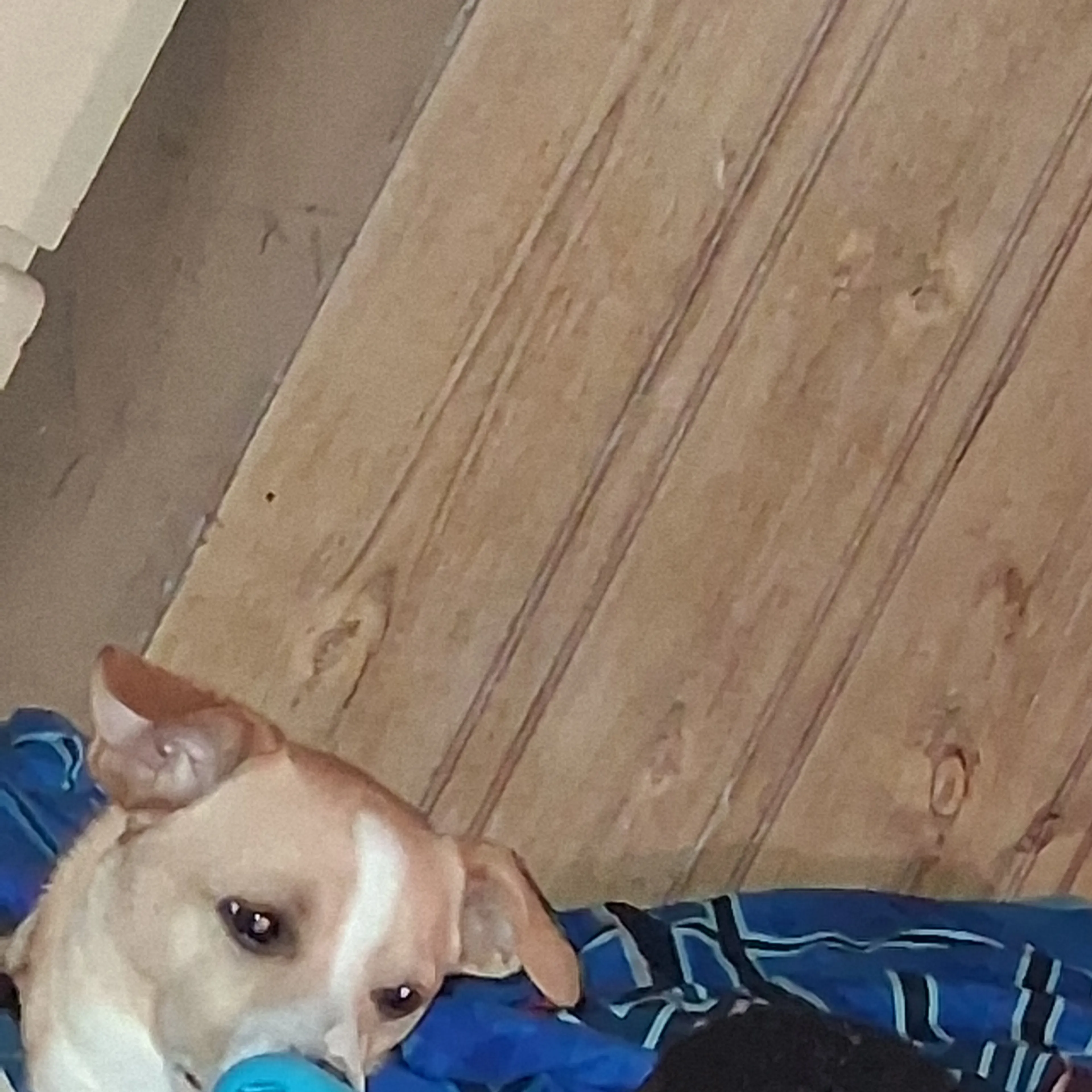 -3
