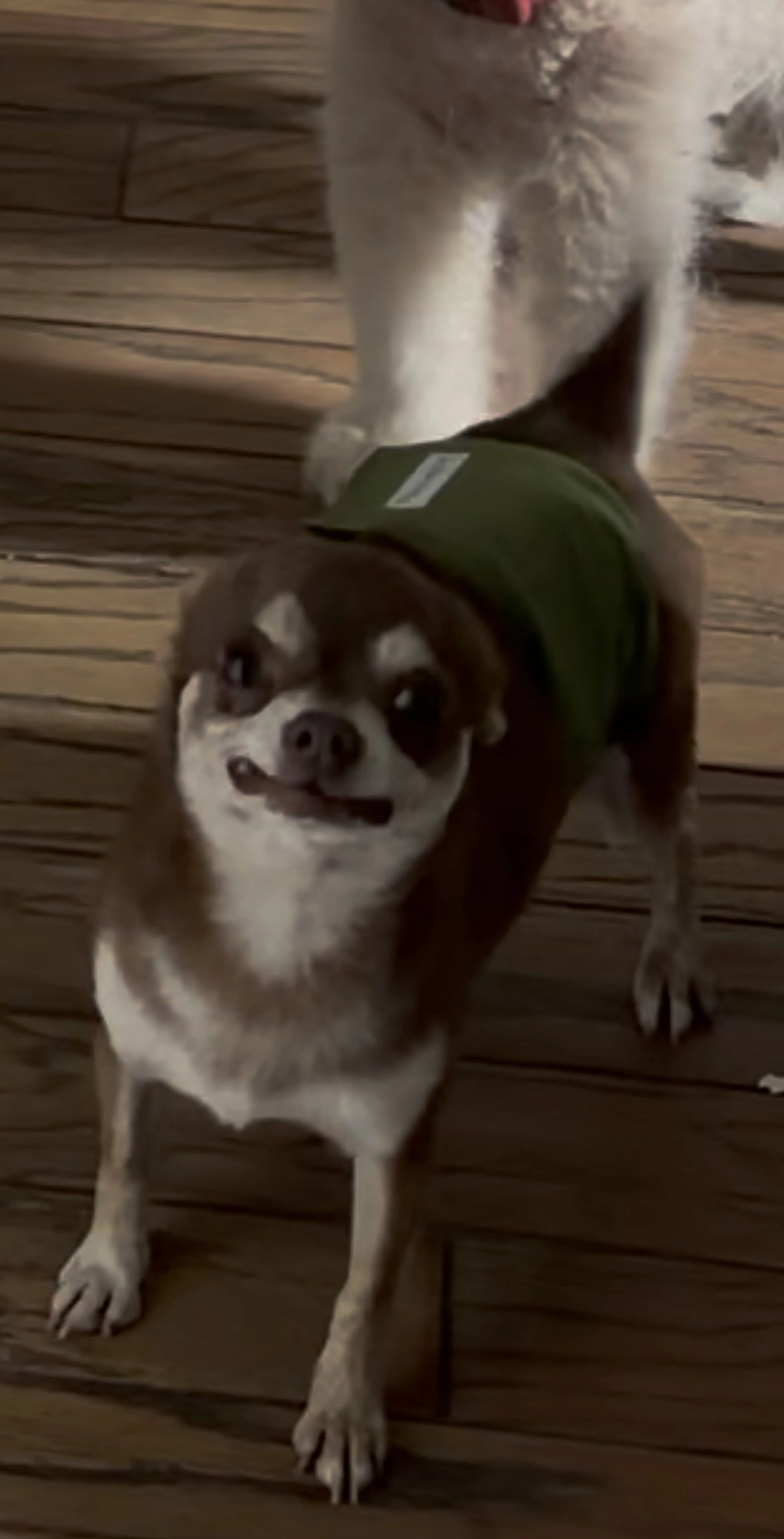 -0