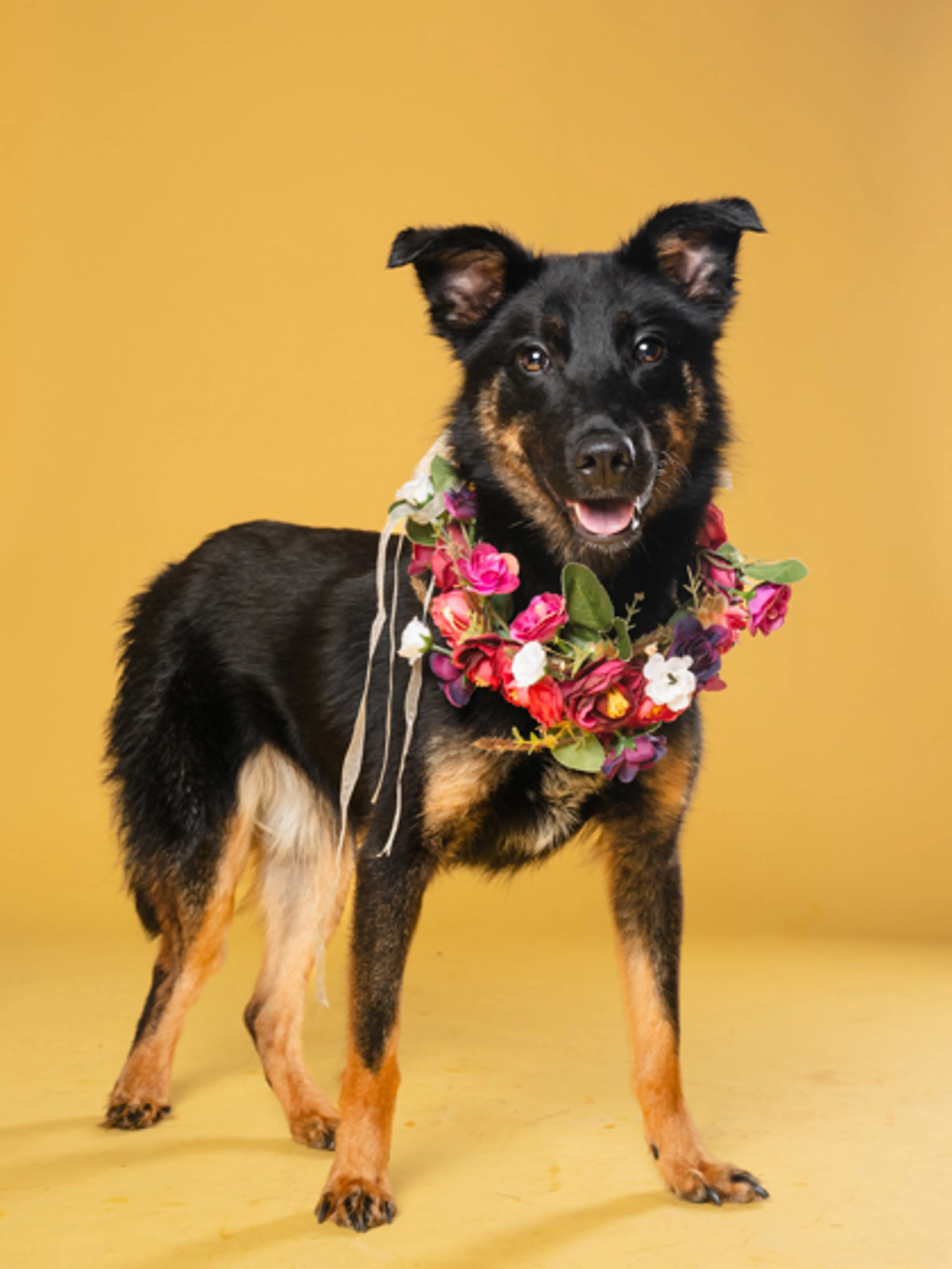 -0