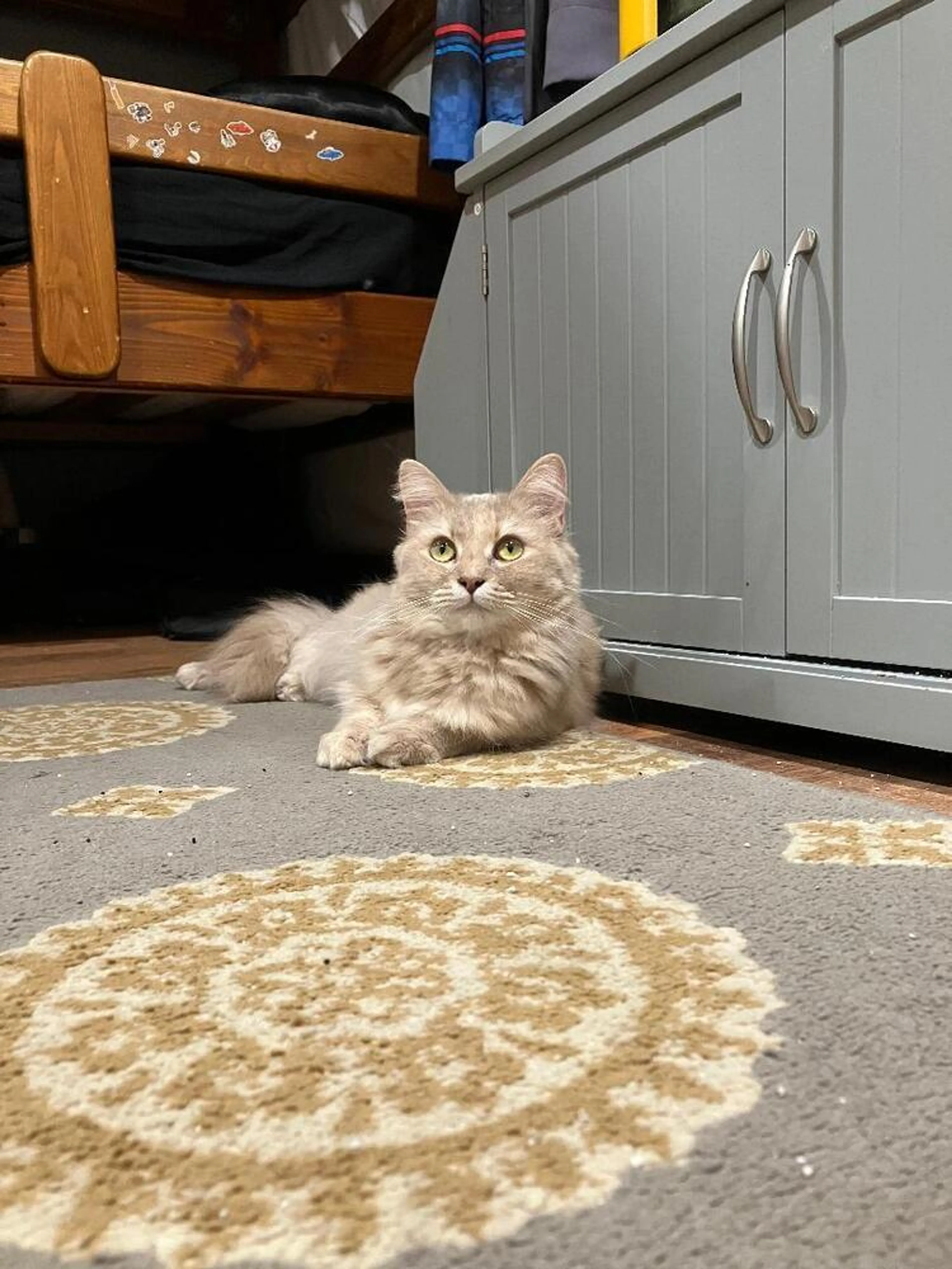 -2
