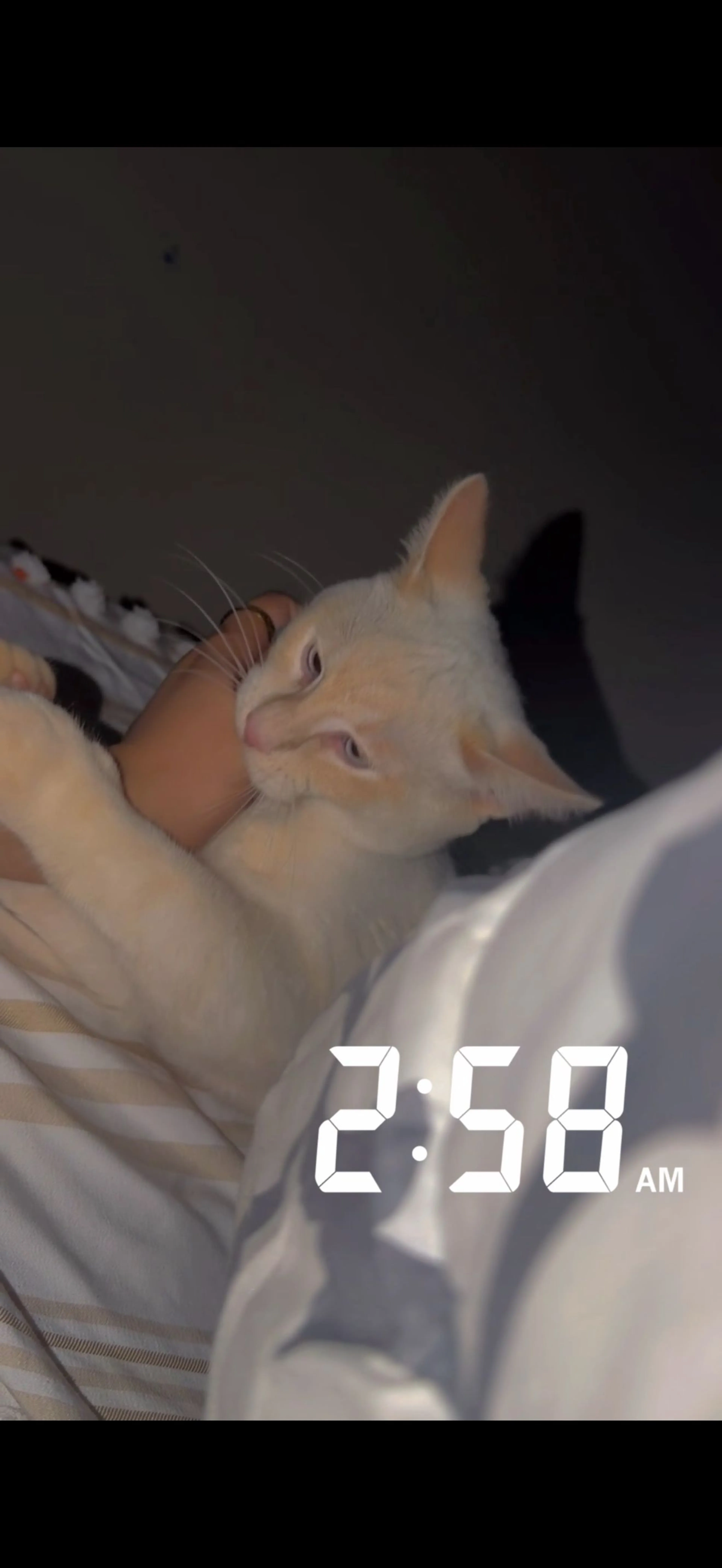 -1