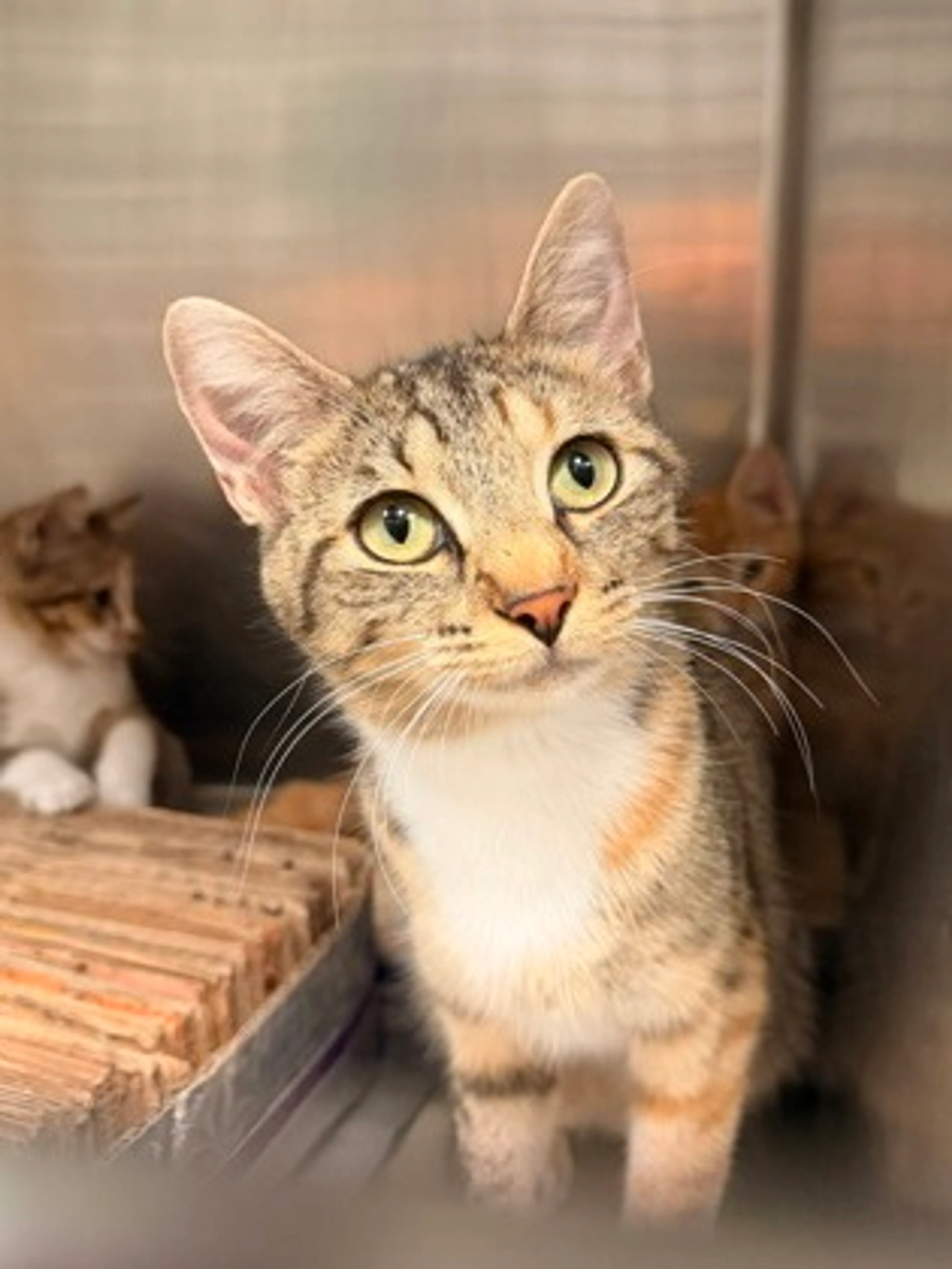 -0