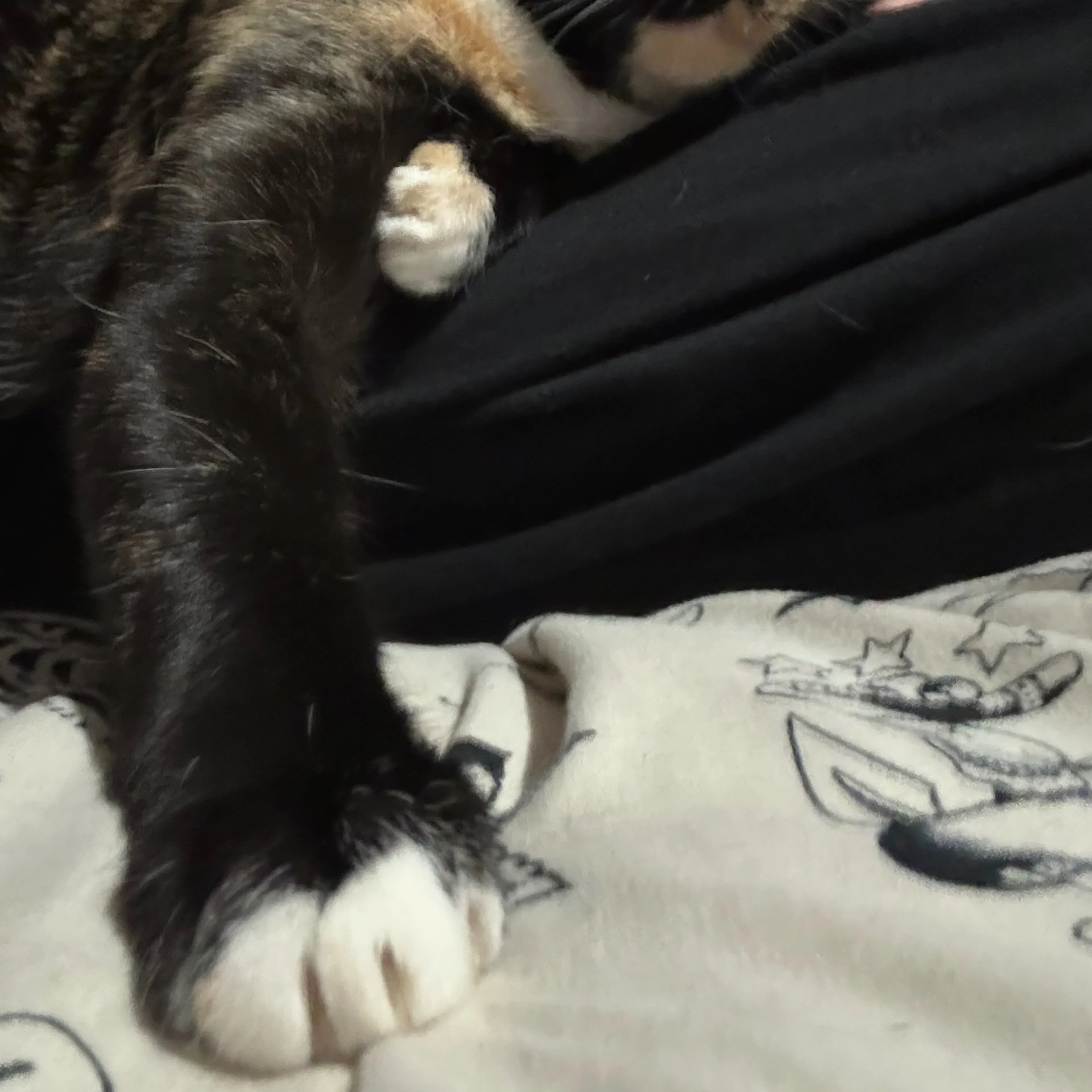 -3