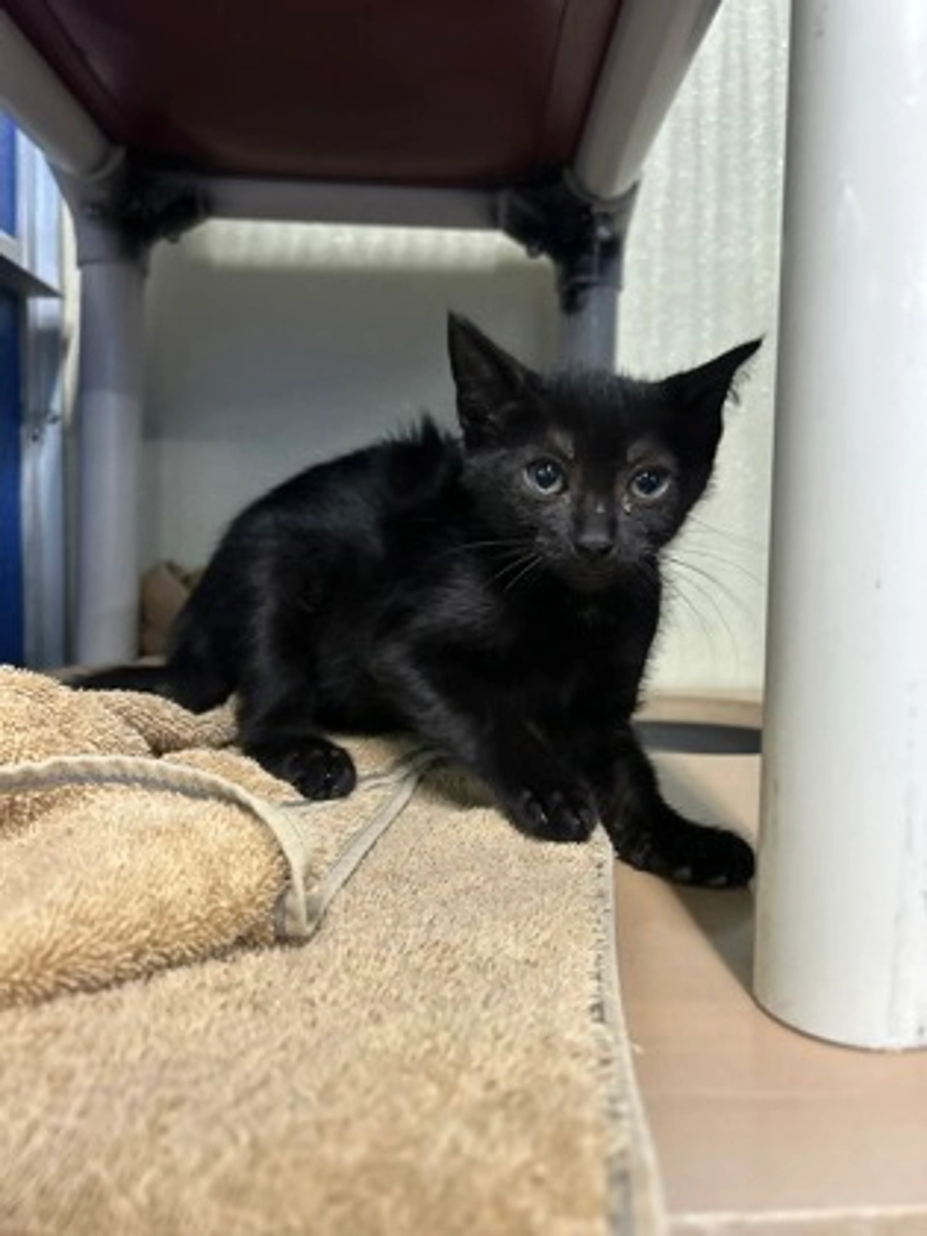 -0