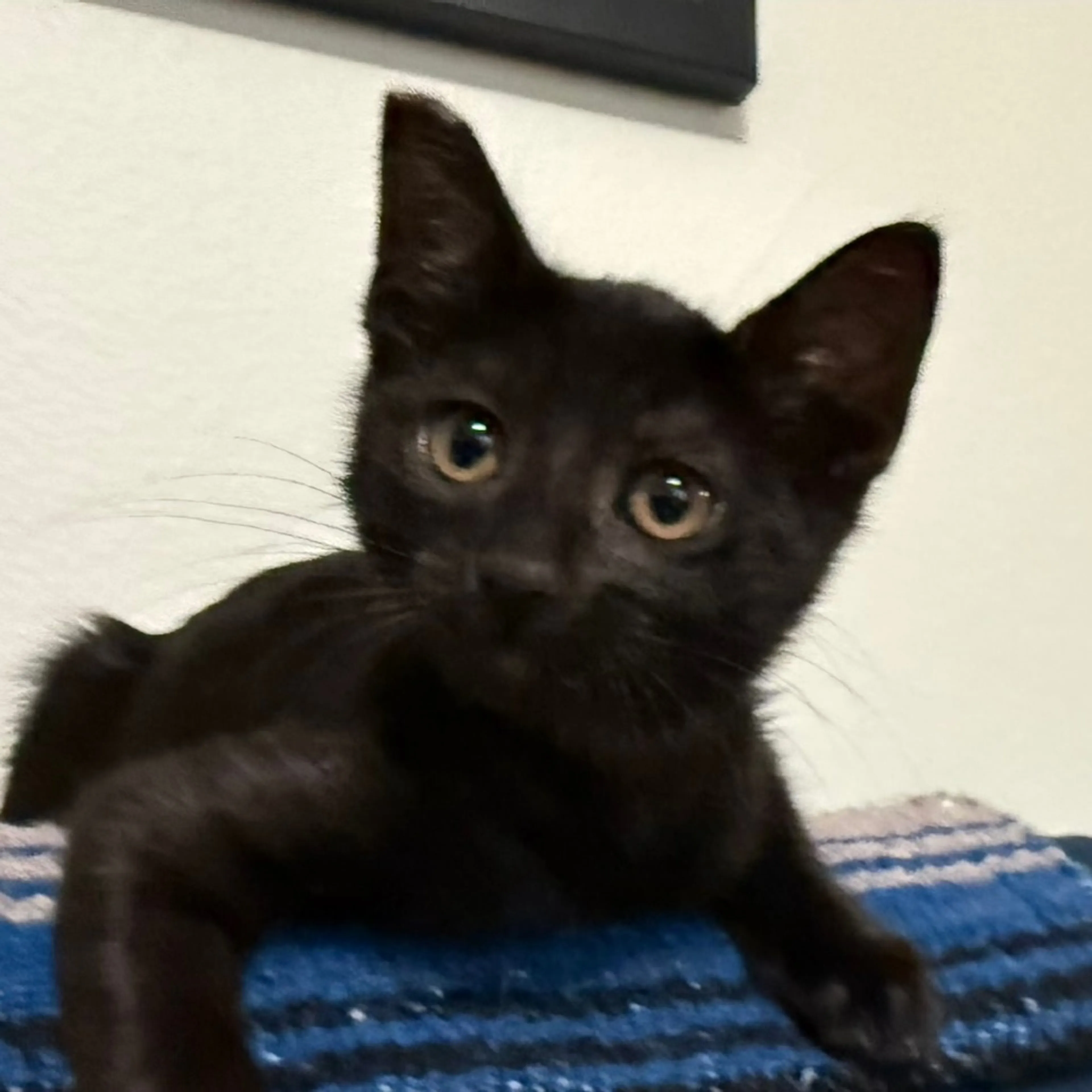 -0