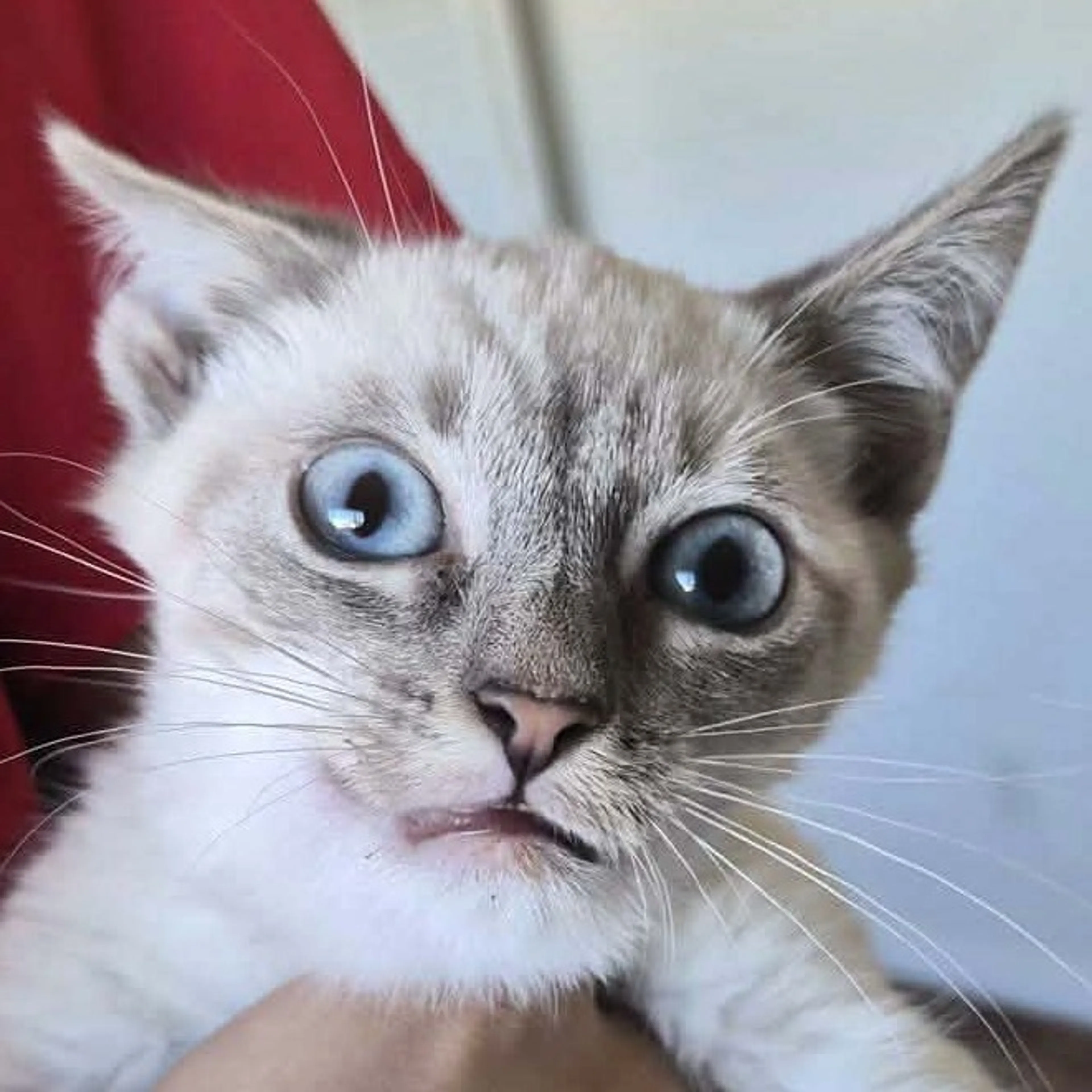 -1