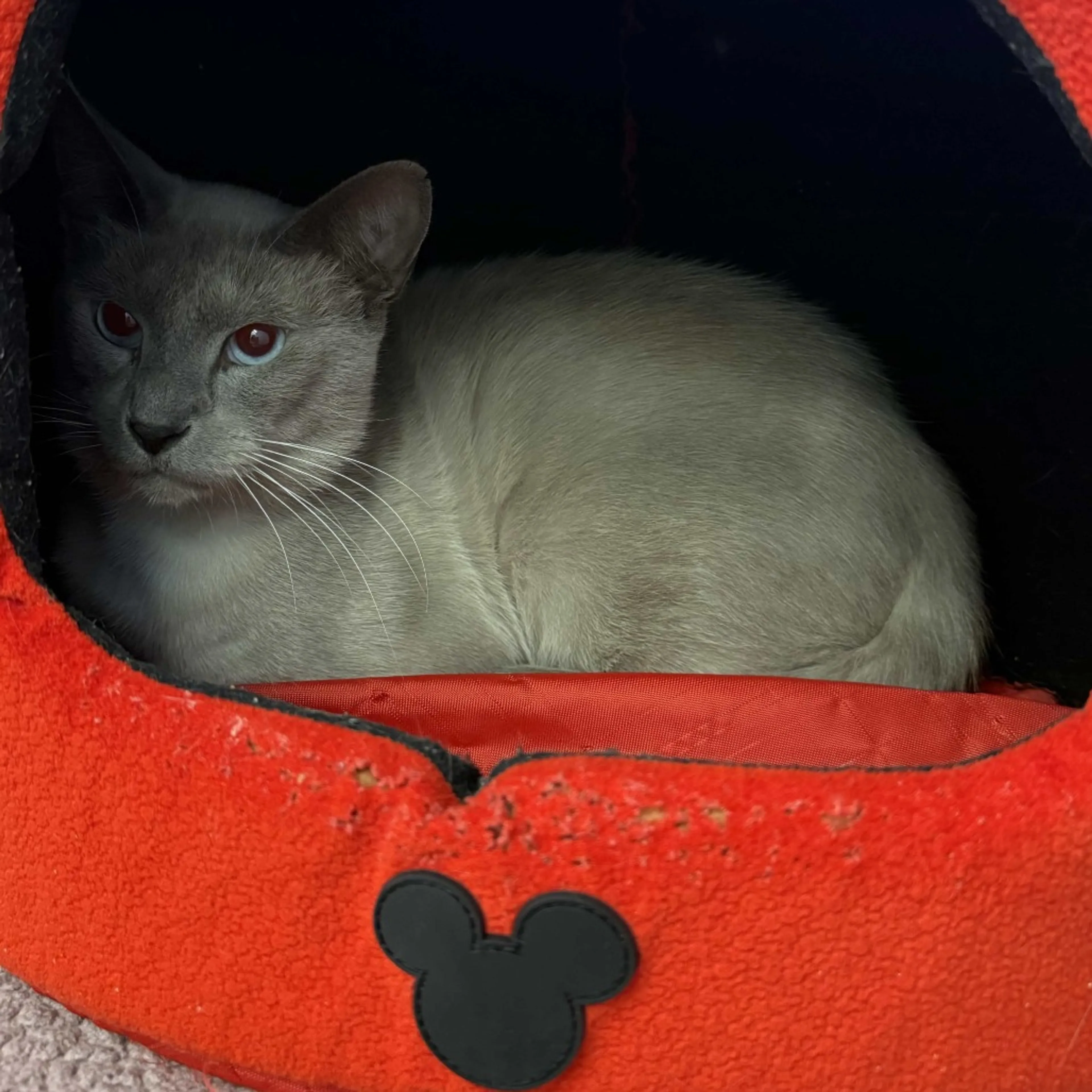 -3