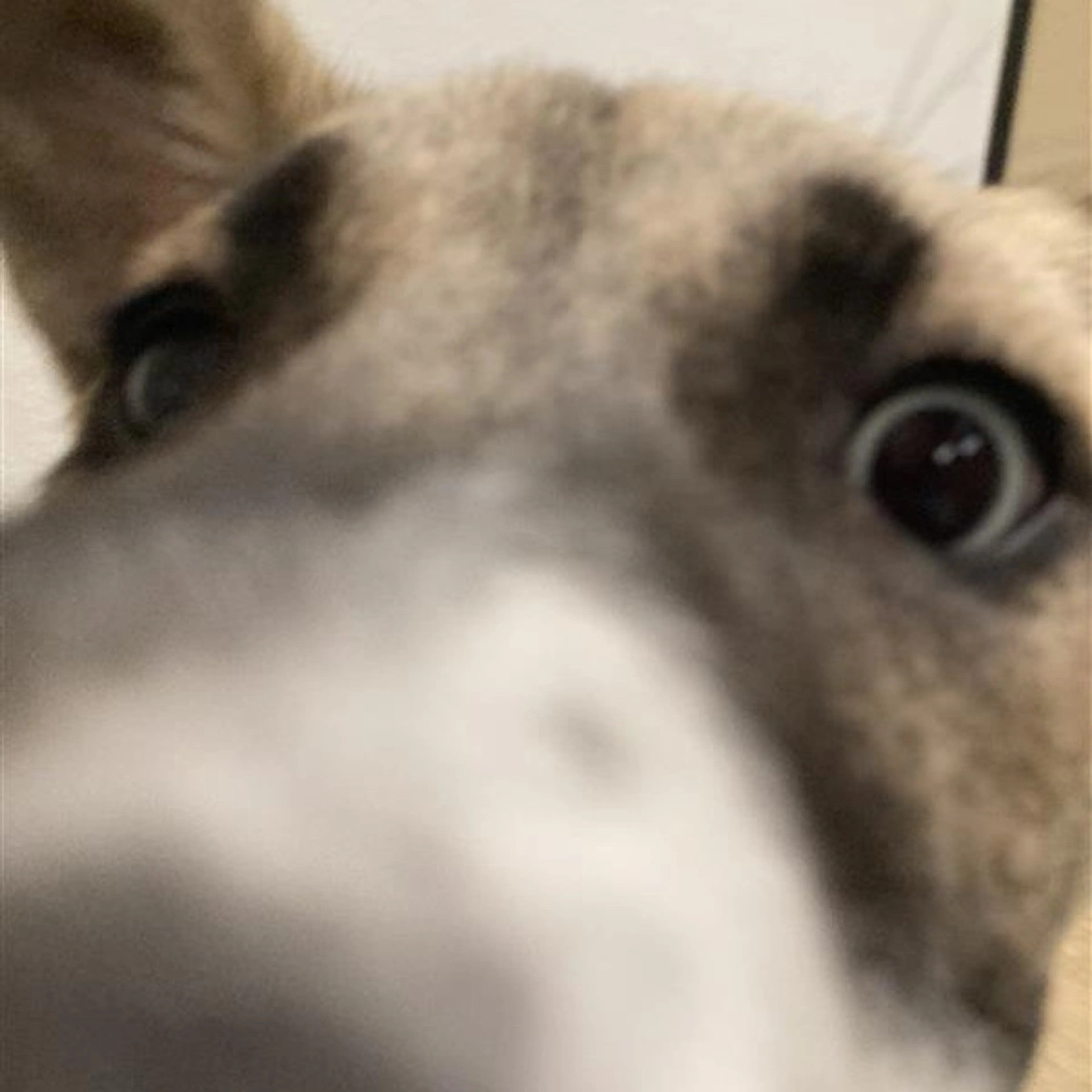 -3