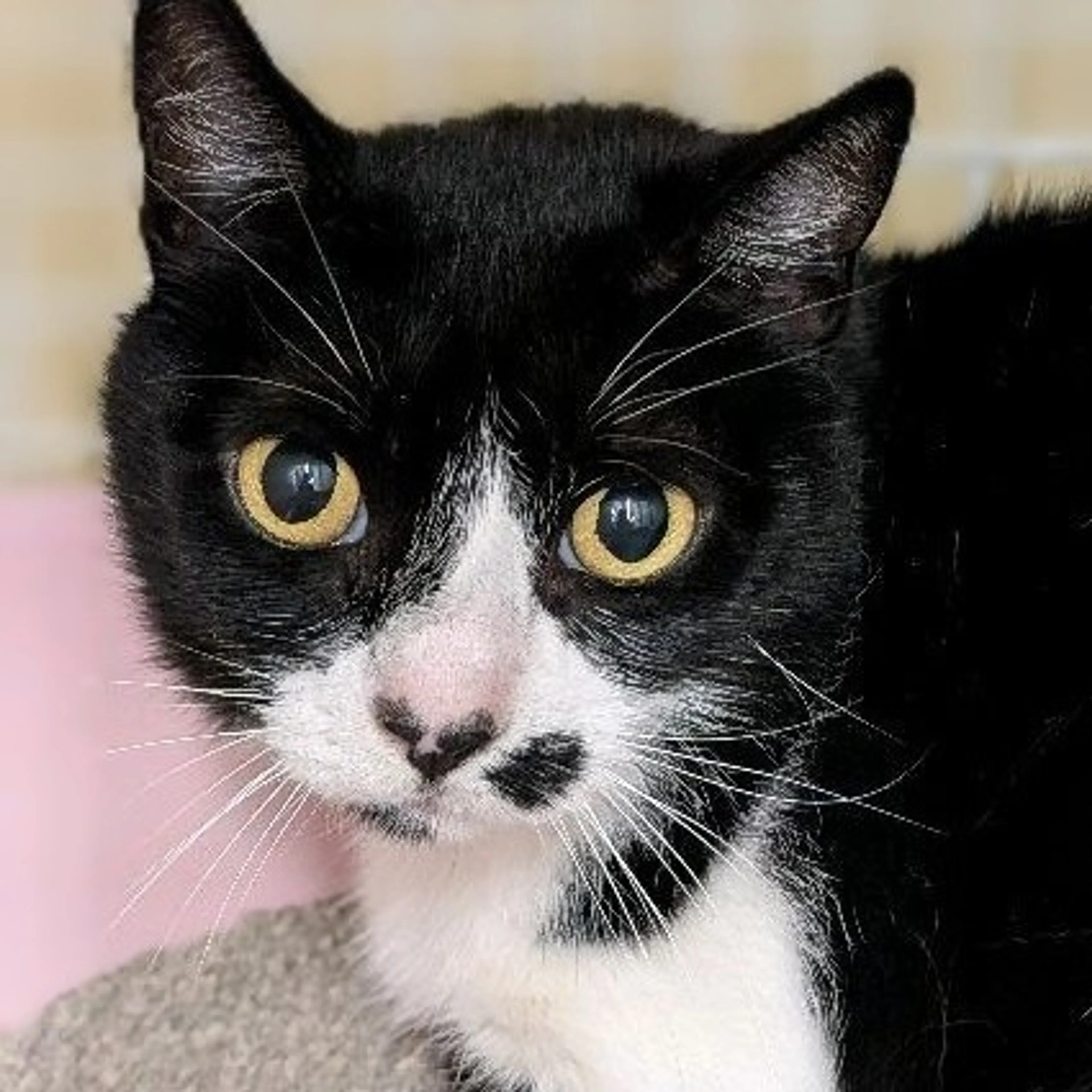 -0