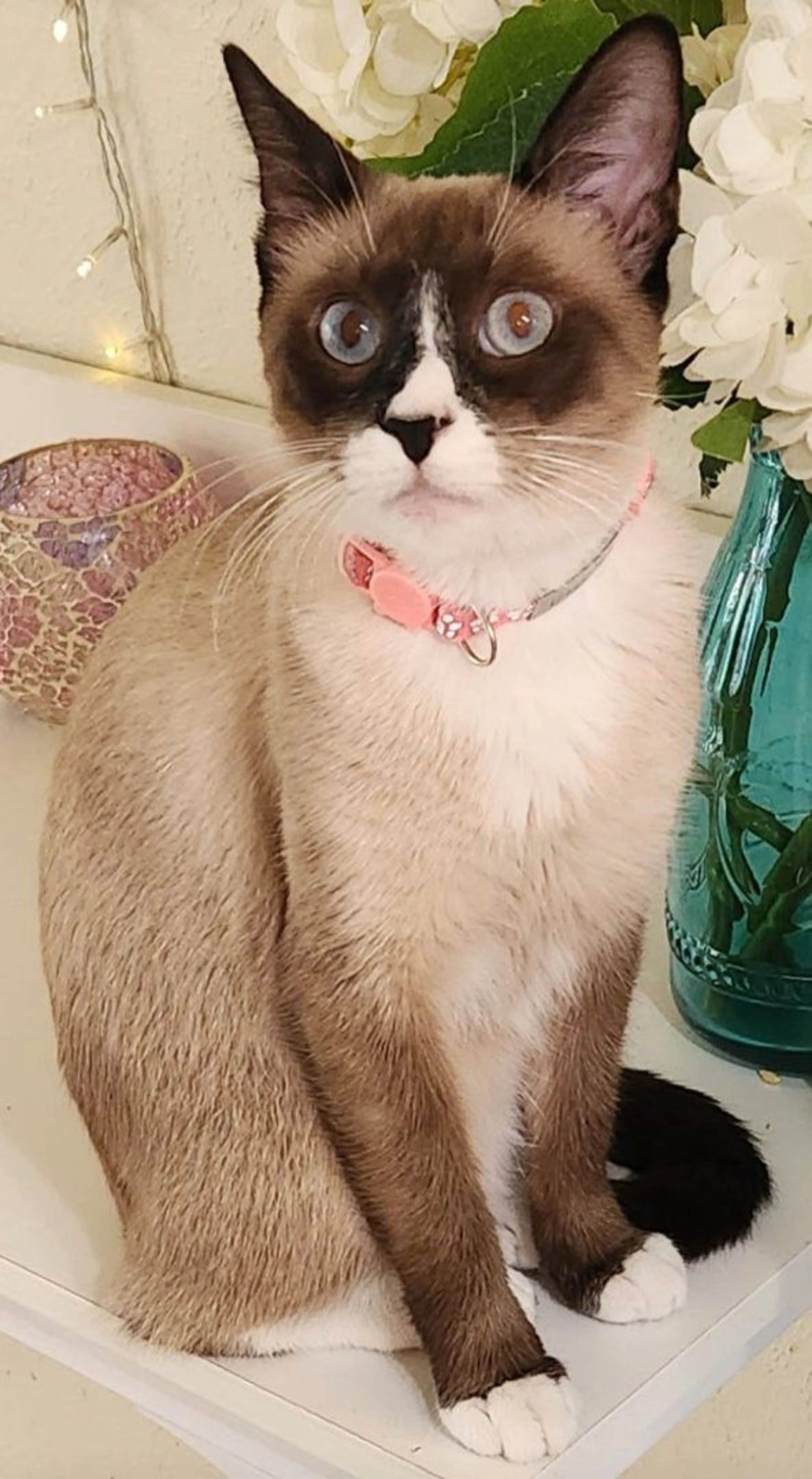 -3