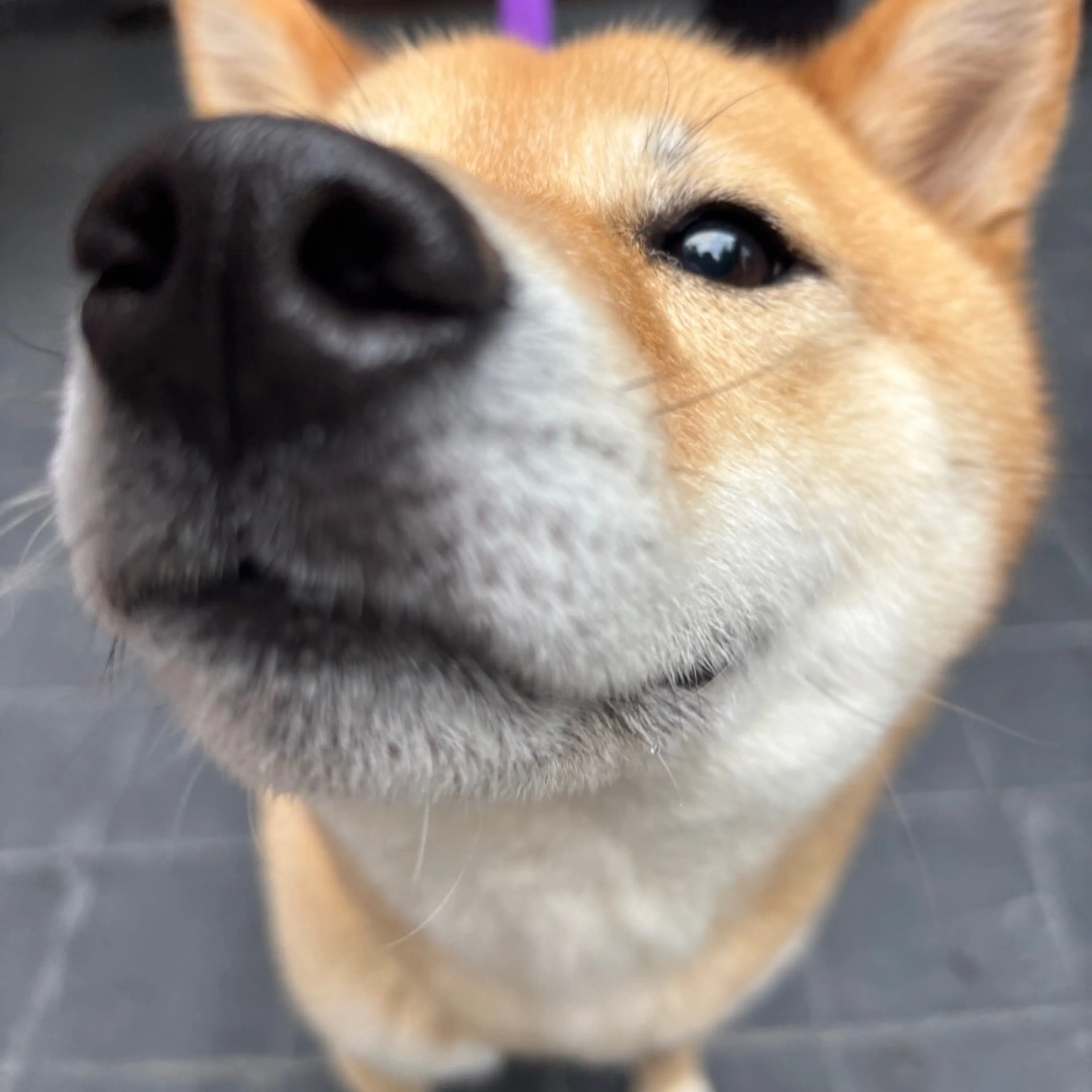 -1