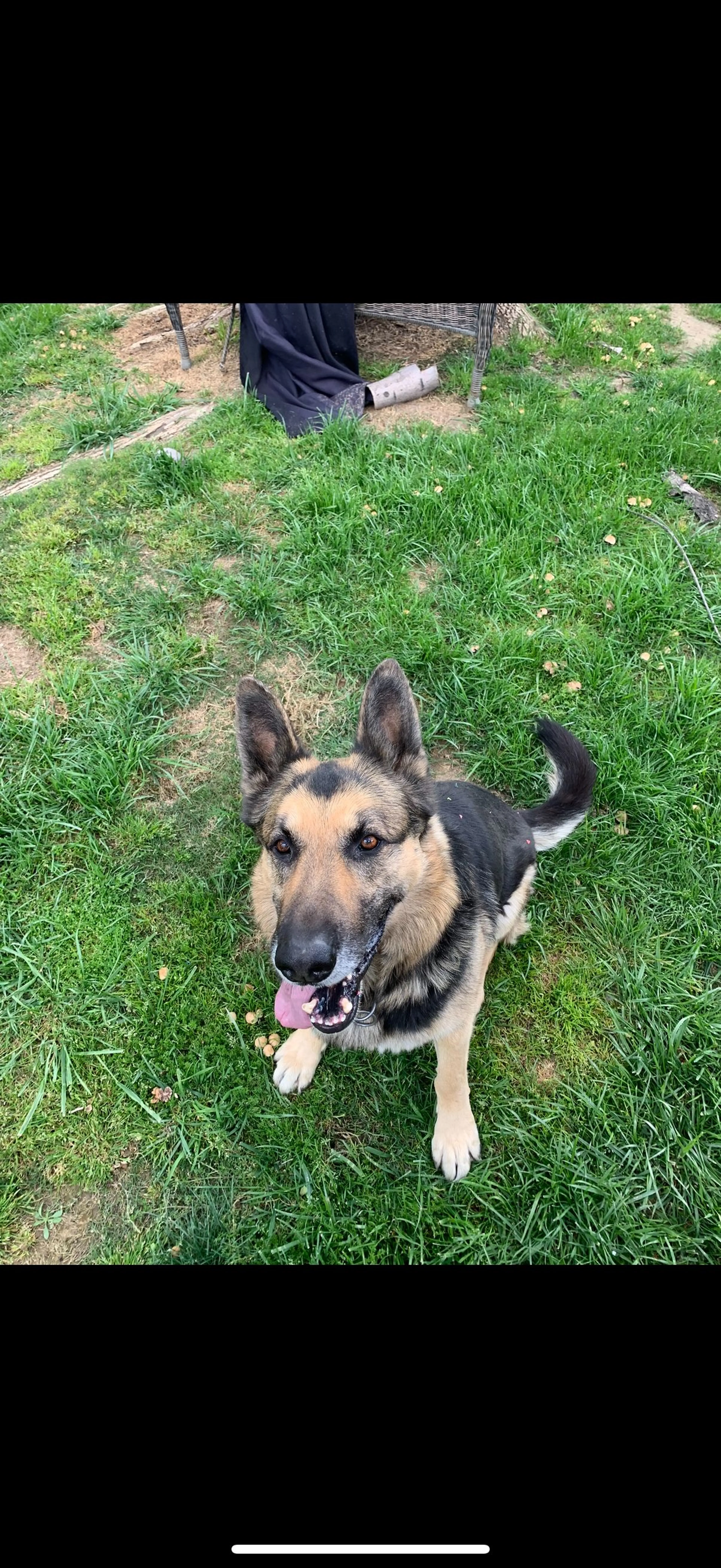 cdn image