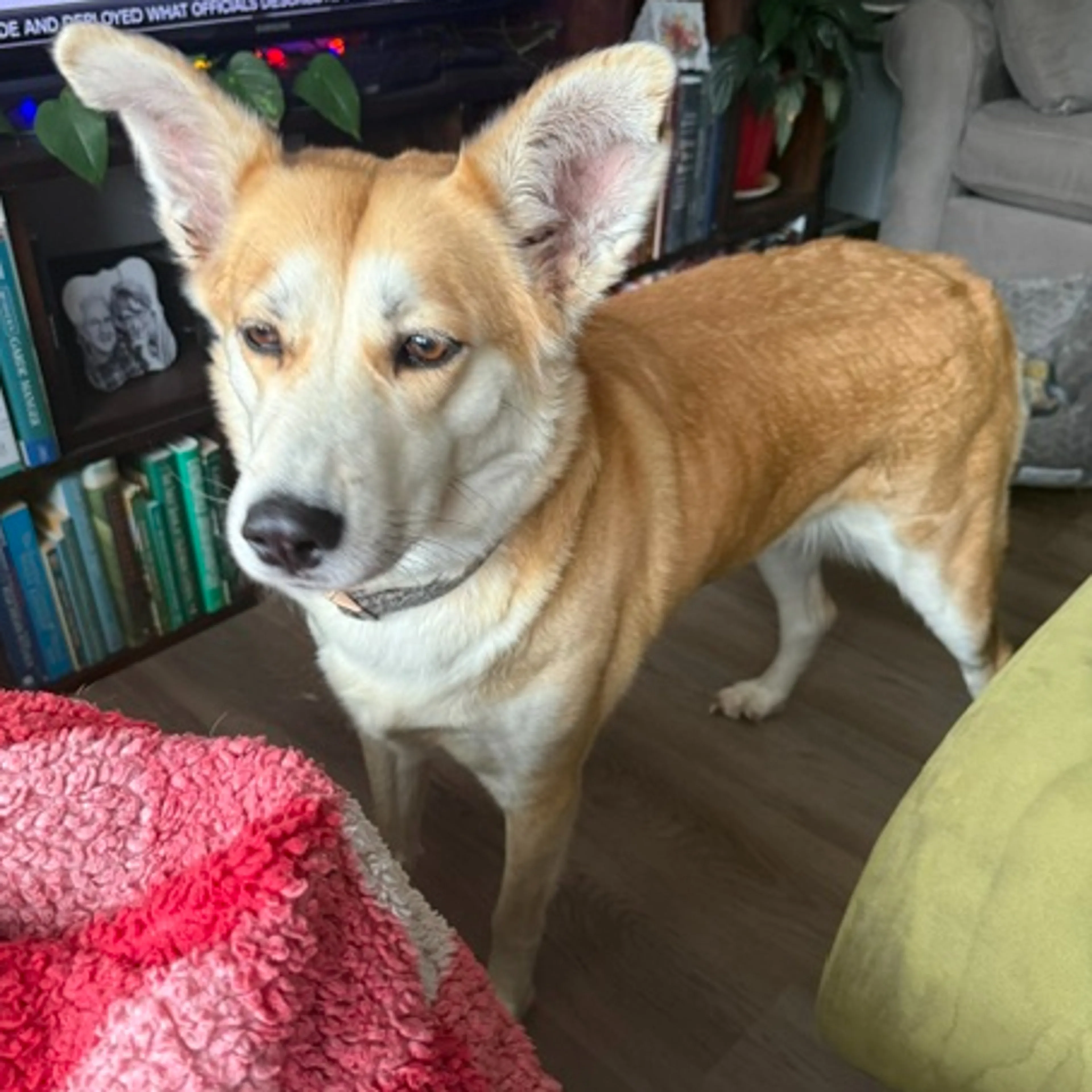 -1