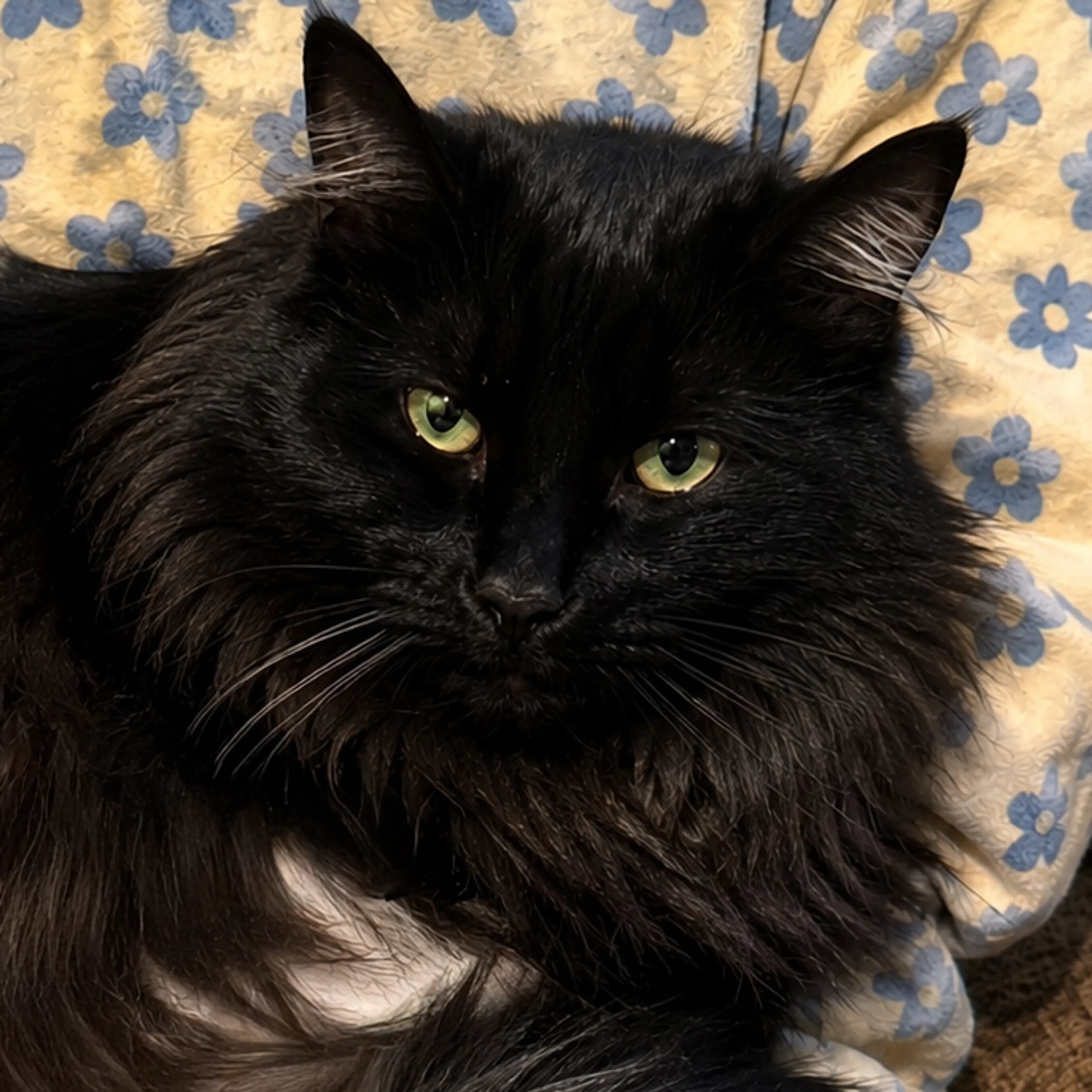 -1