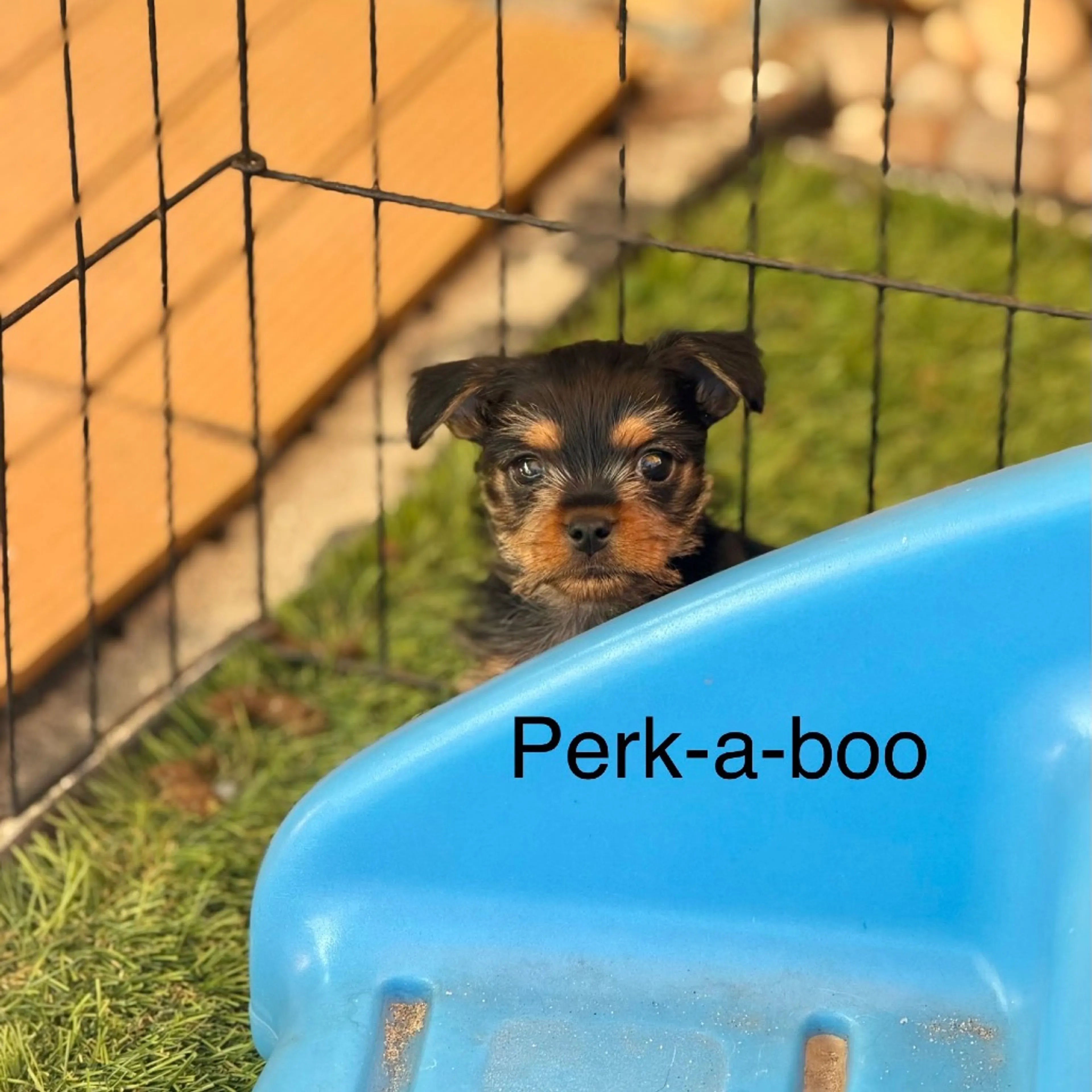 -10
