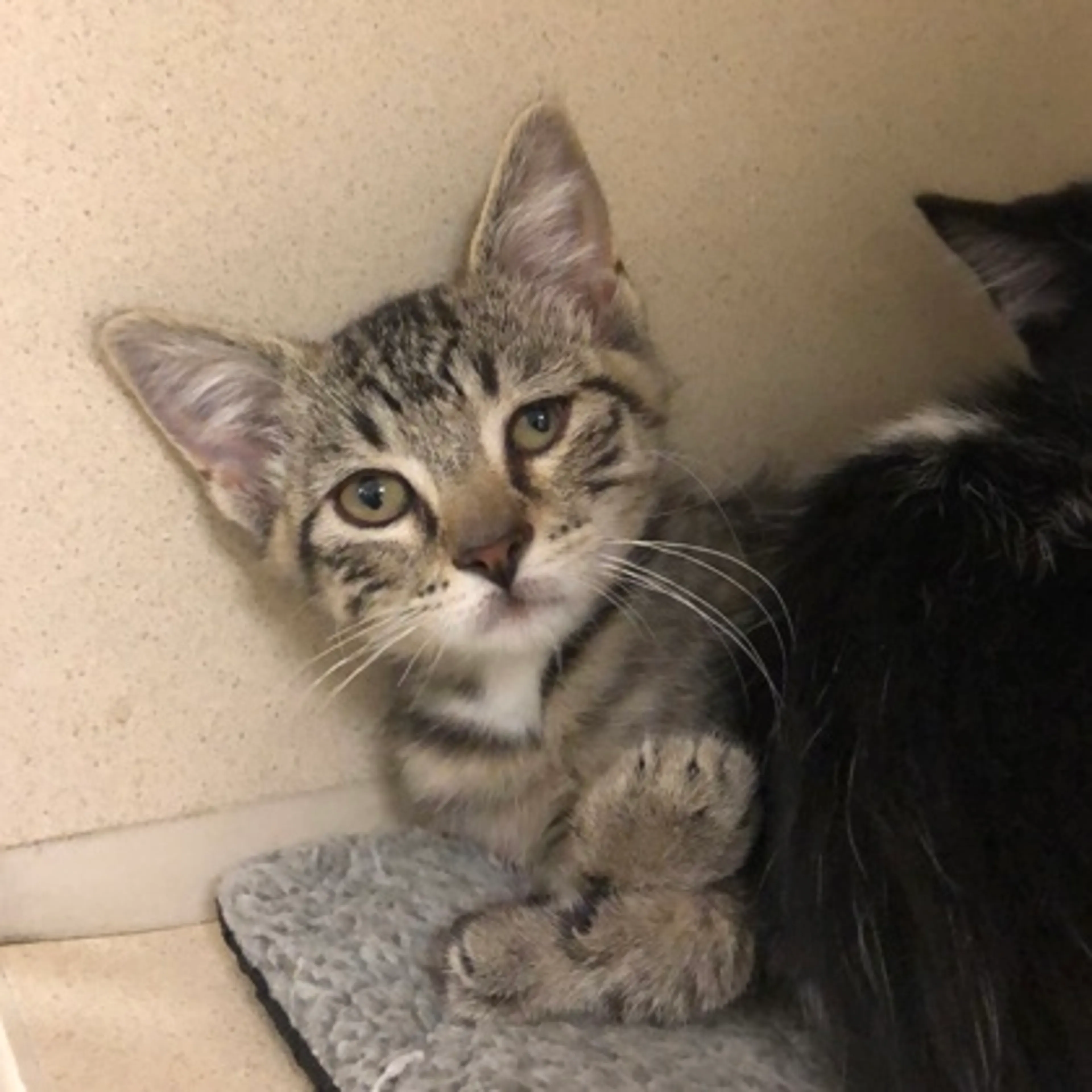 -0