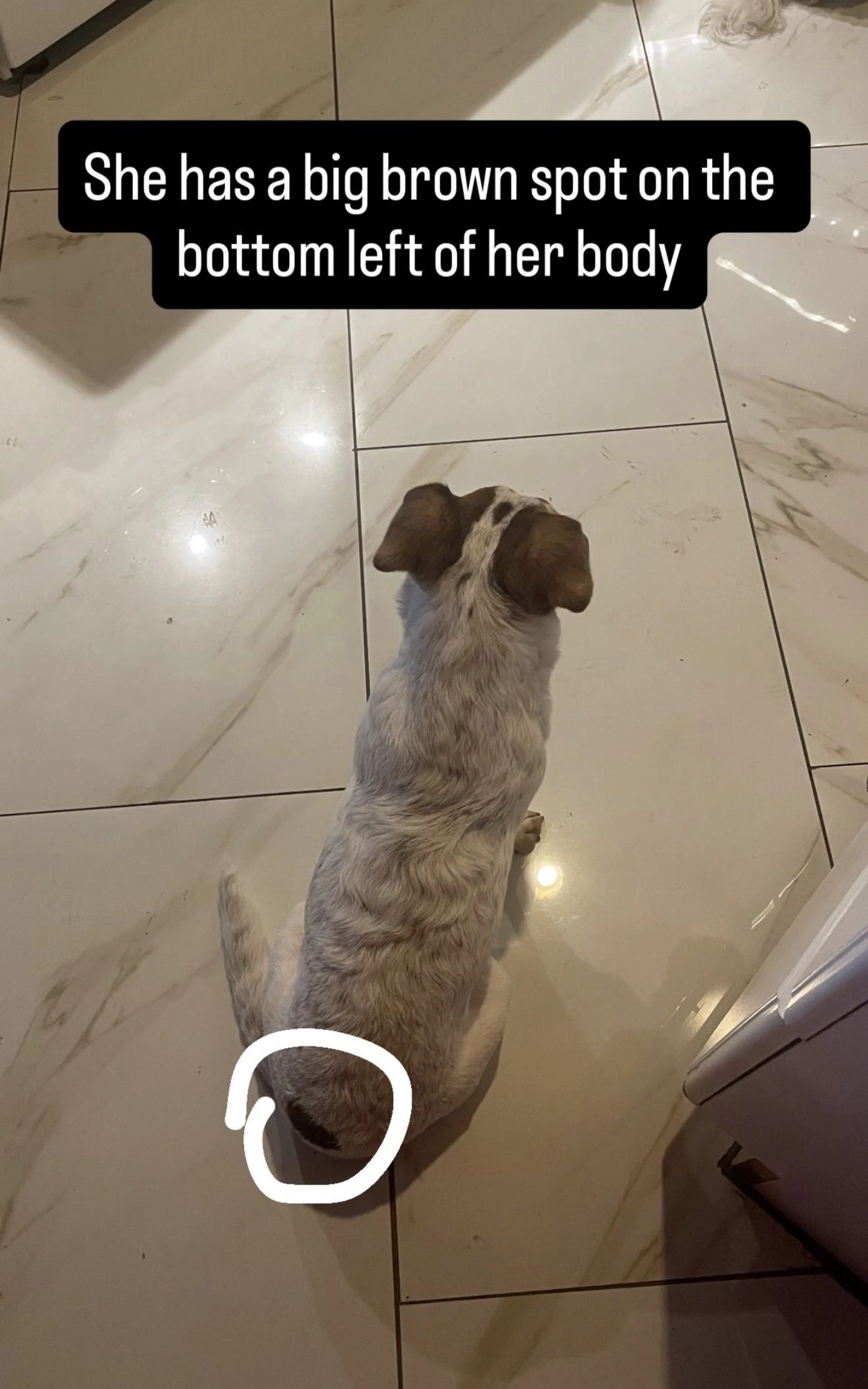-1