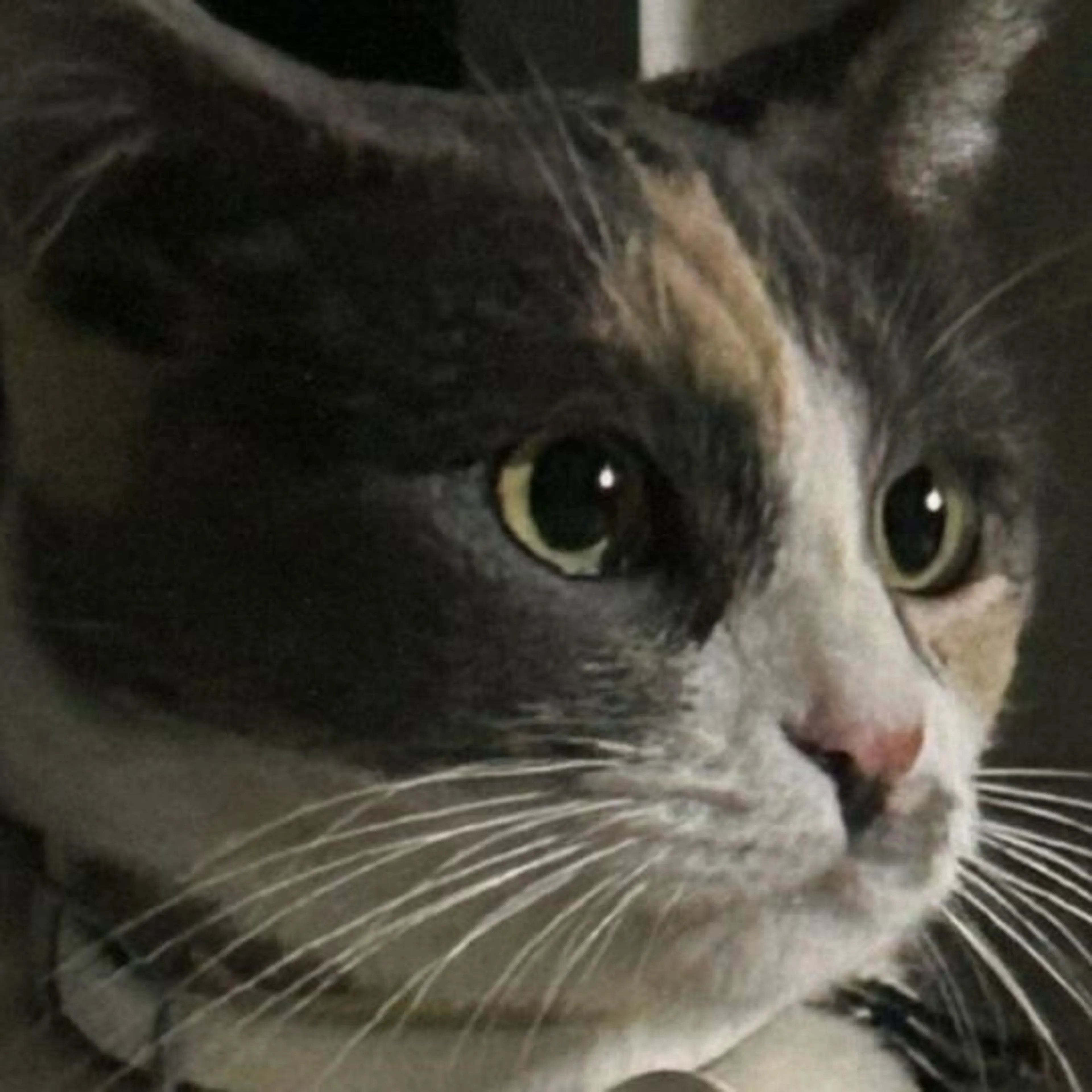 -0