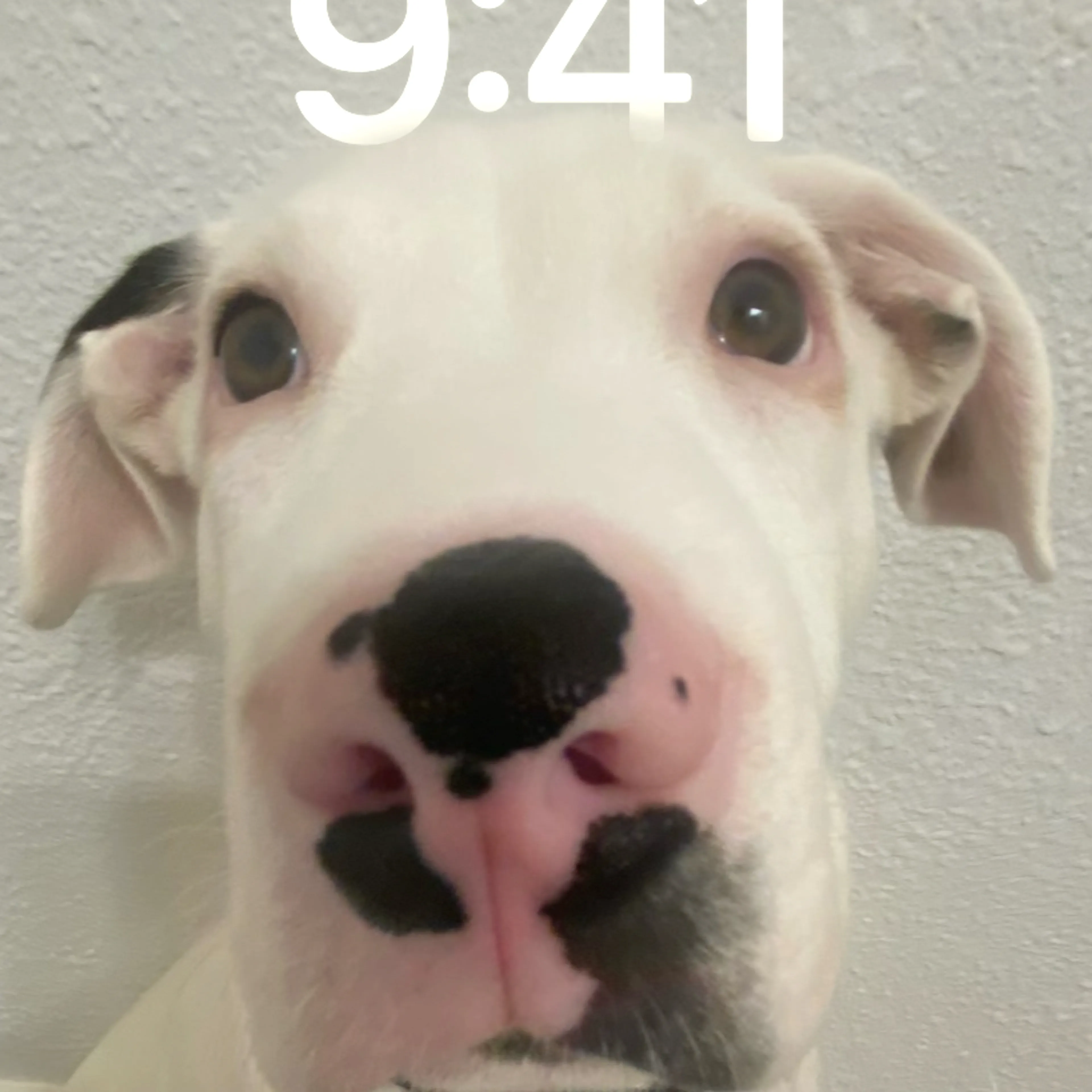 -3