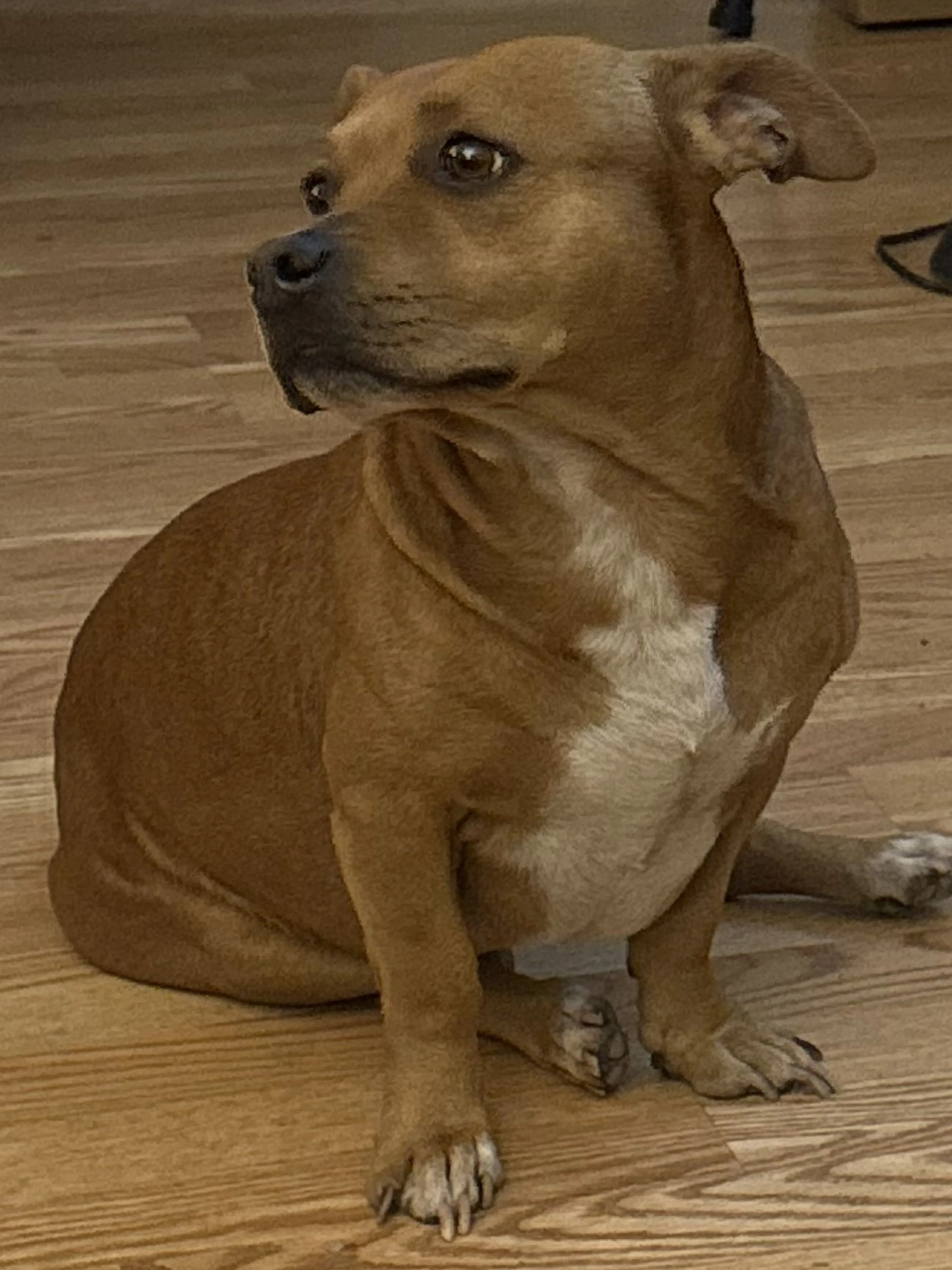 -2