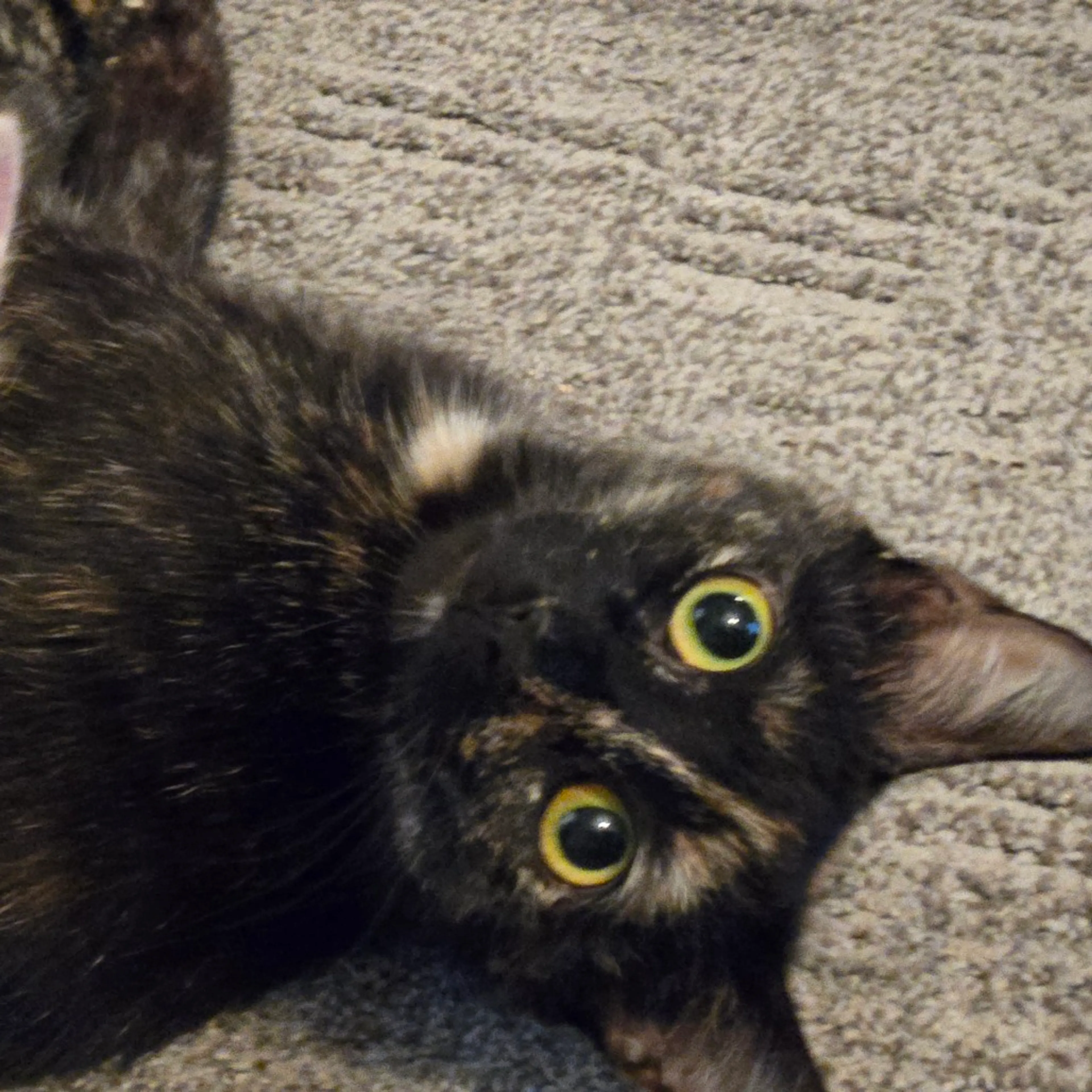 -1