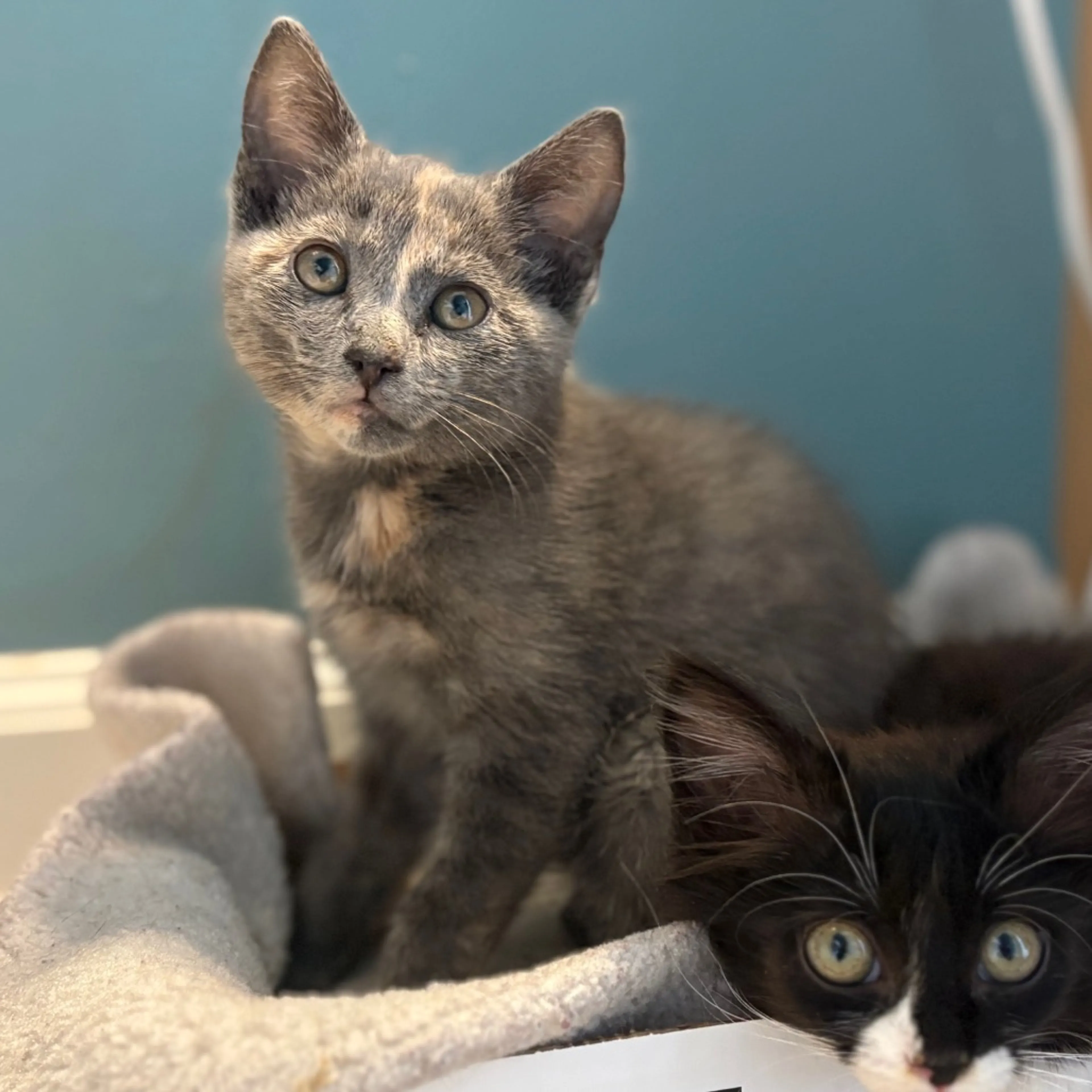 -1