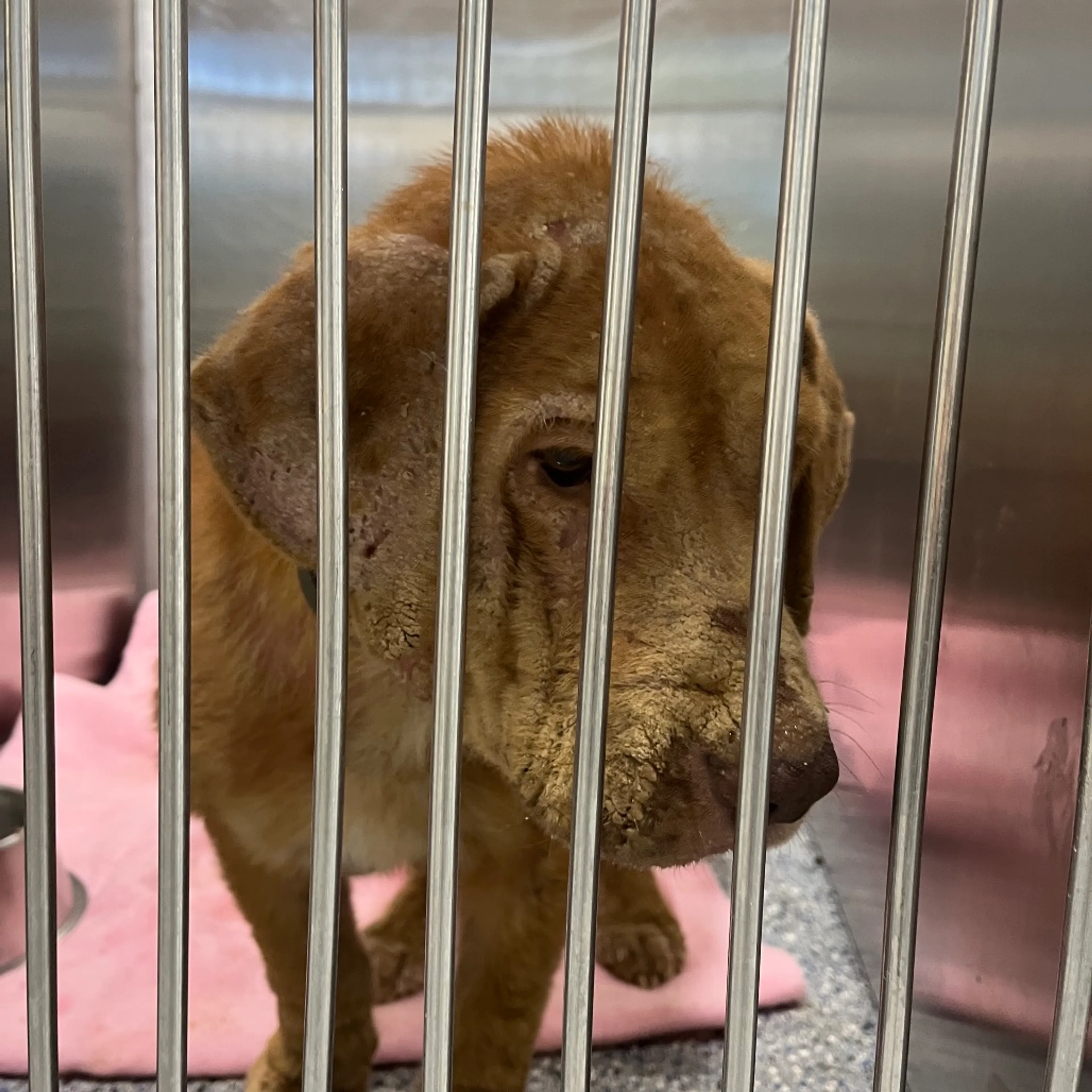 -1