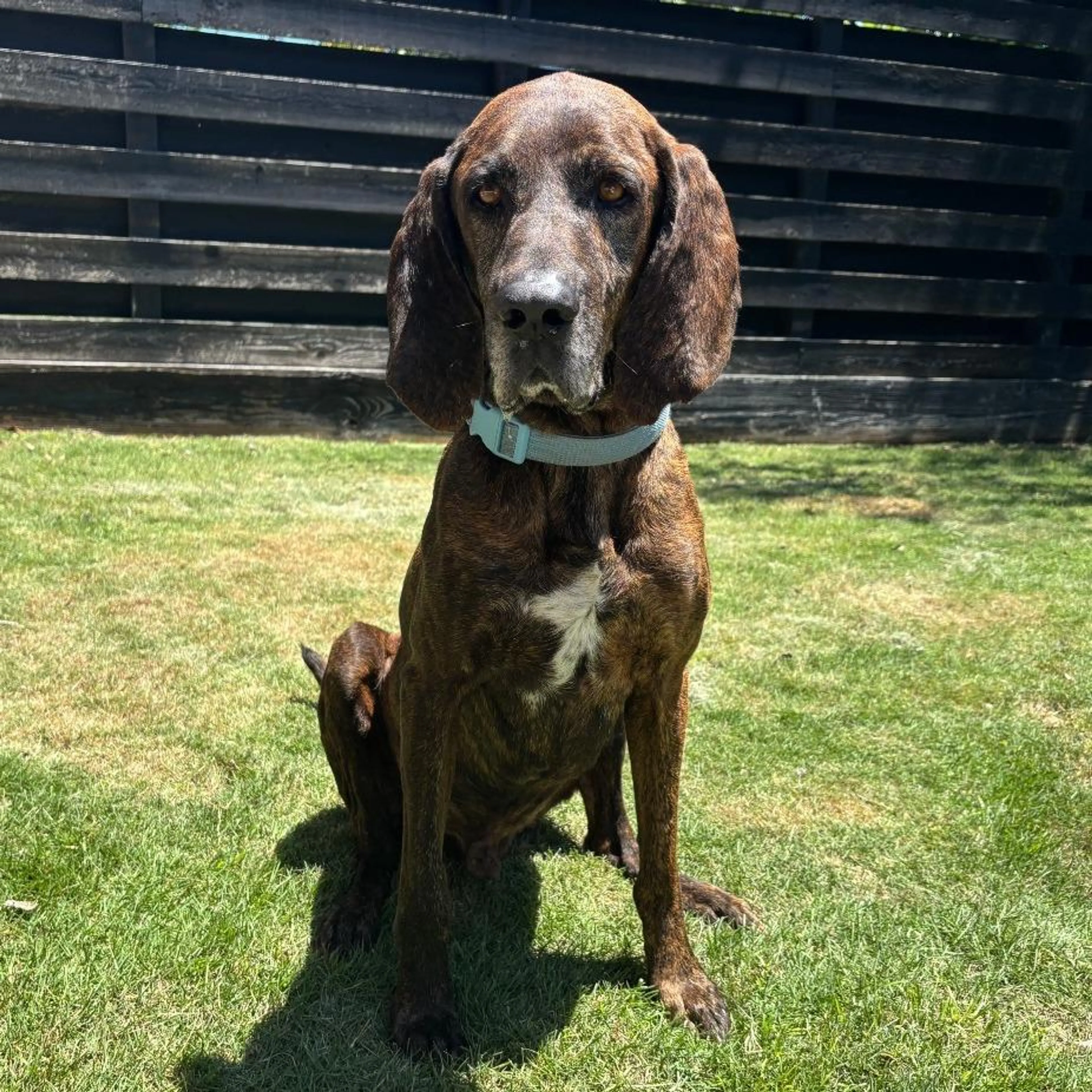 -1