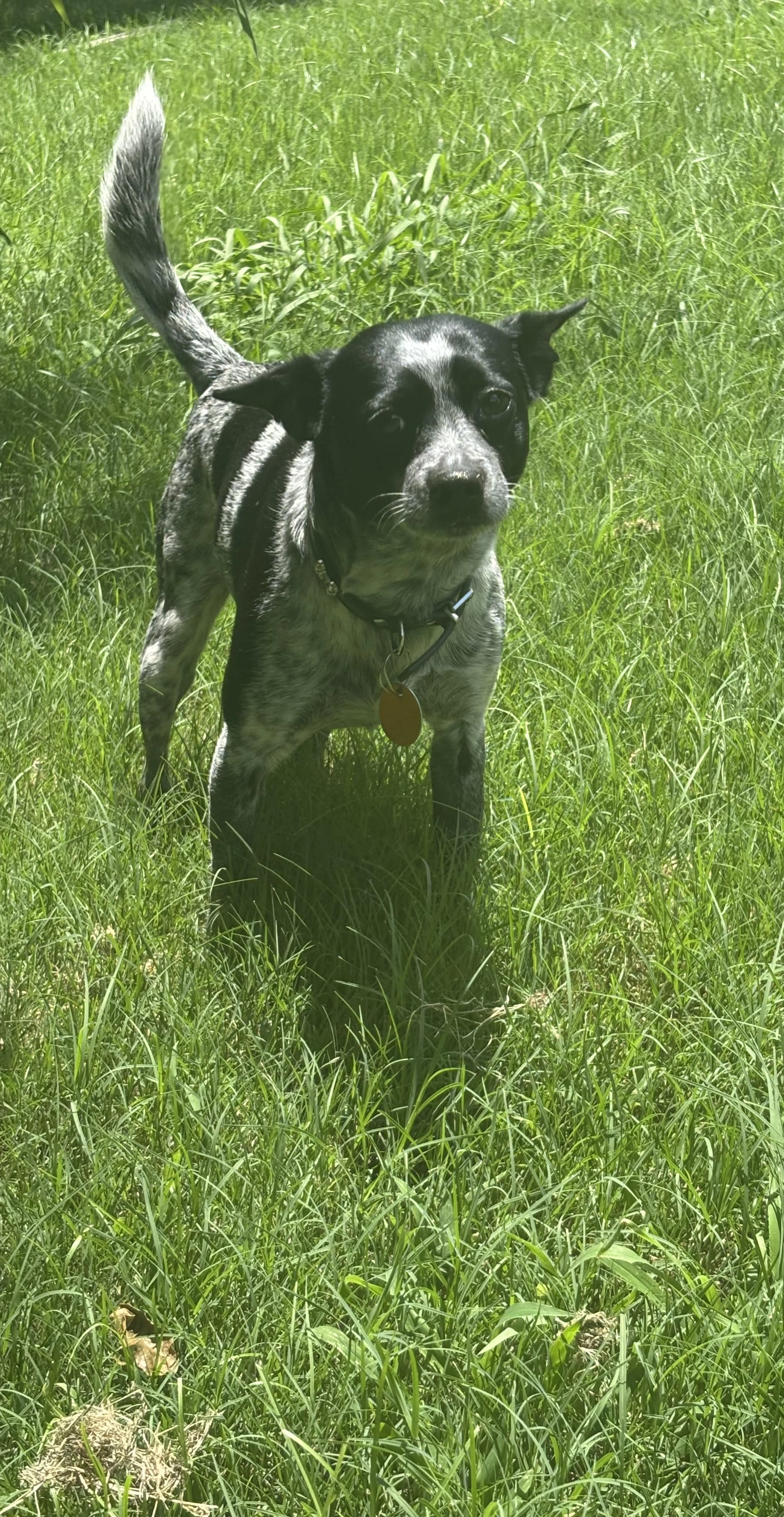 -1