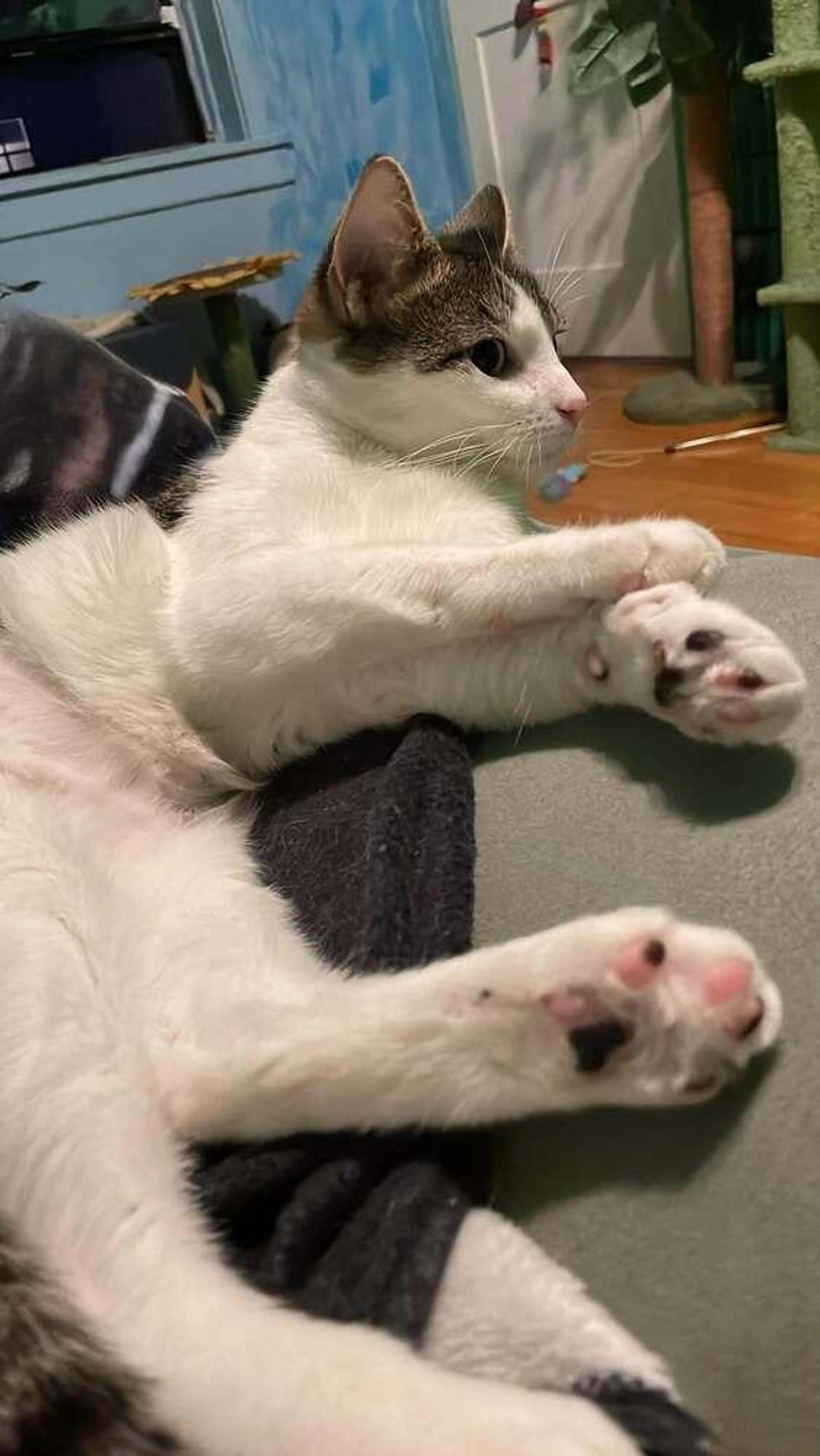 -1