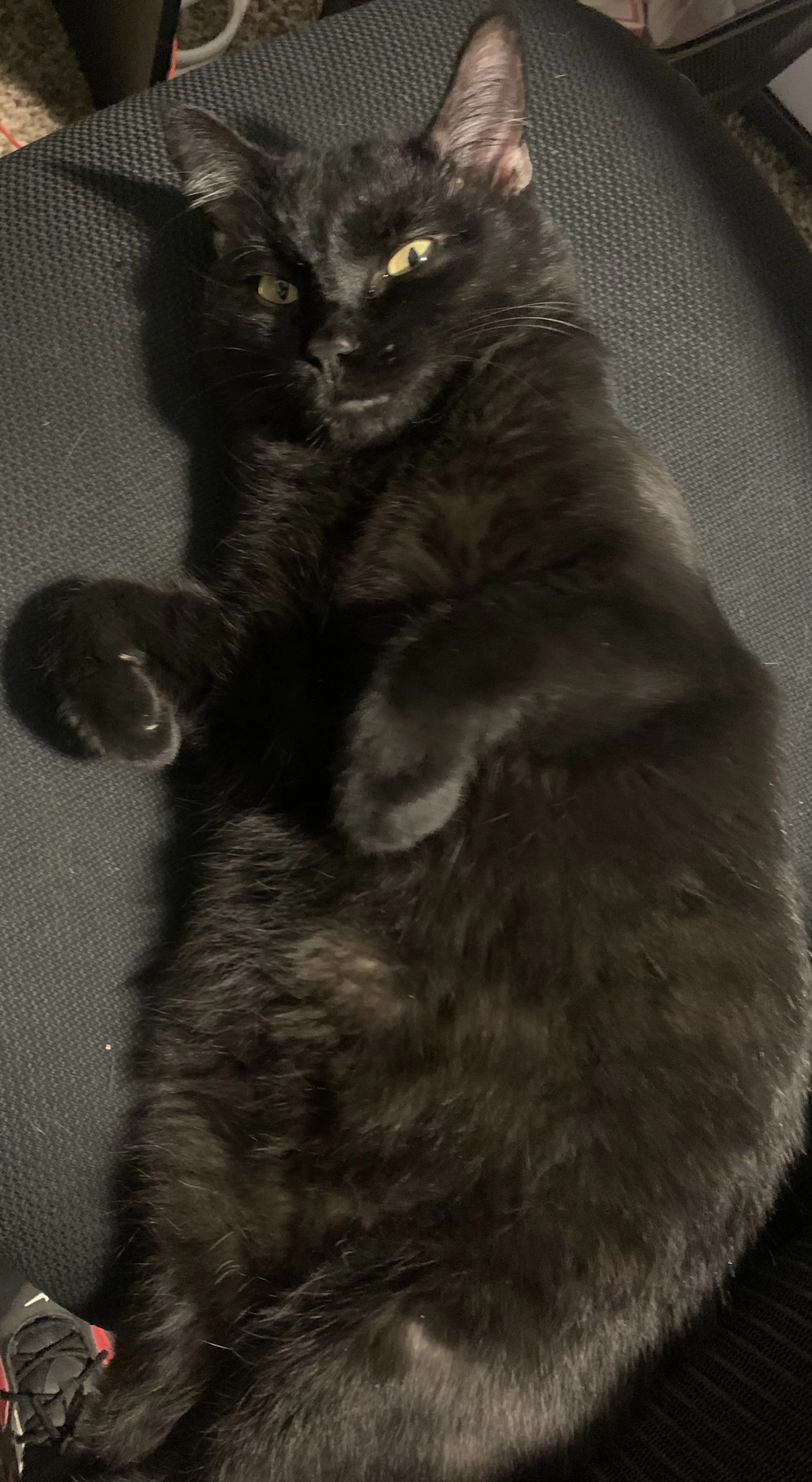 -2