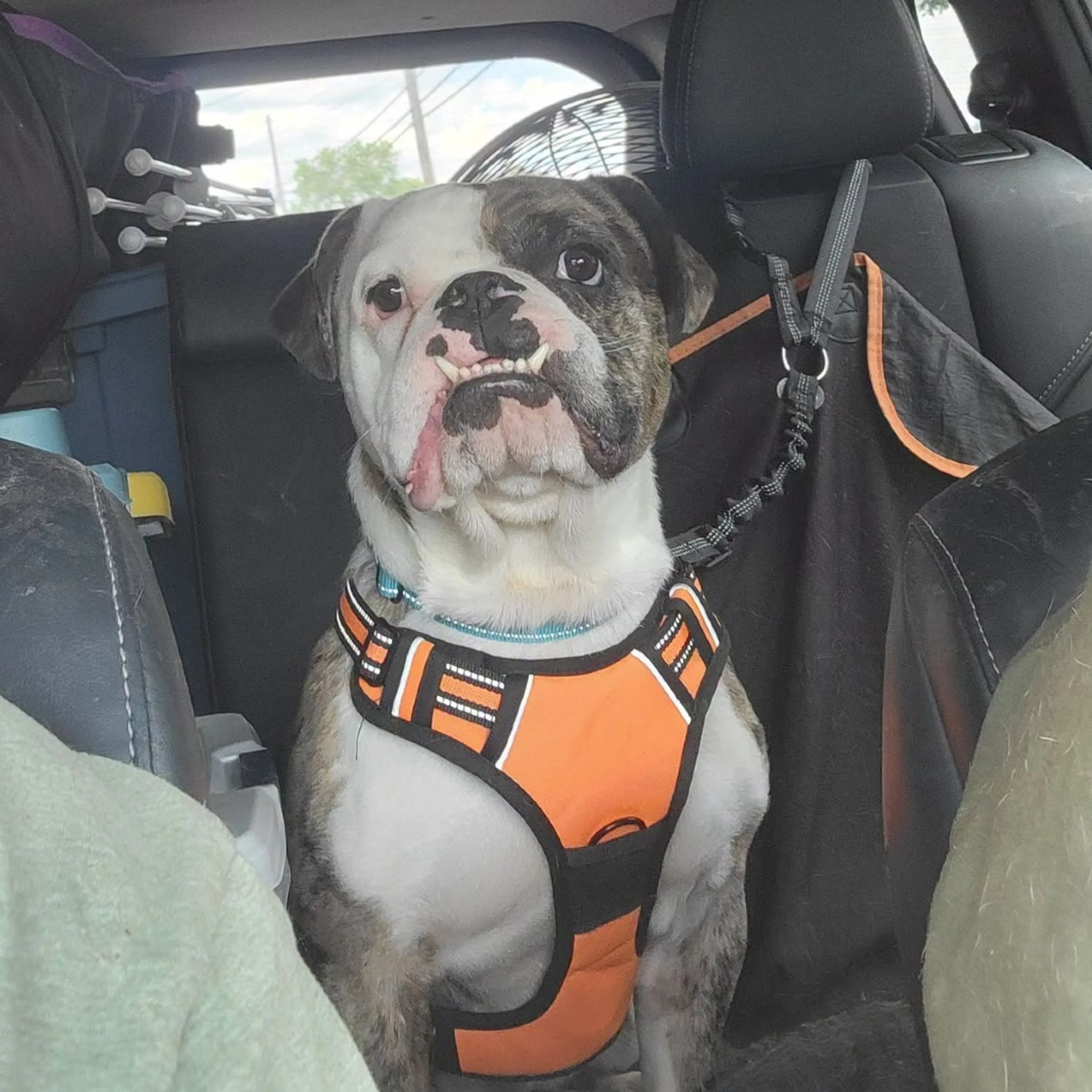 -1