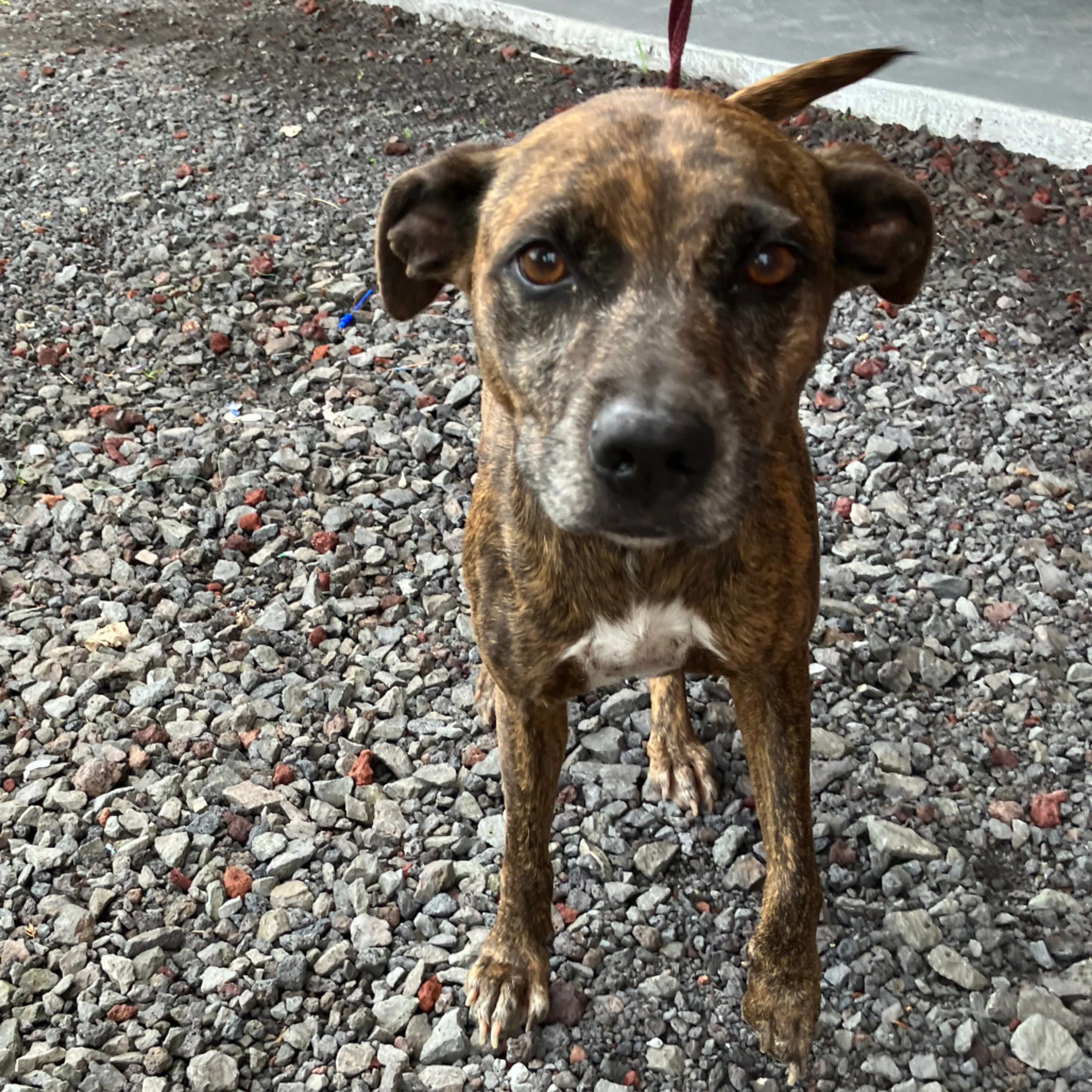 -0
