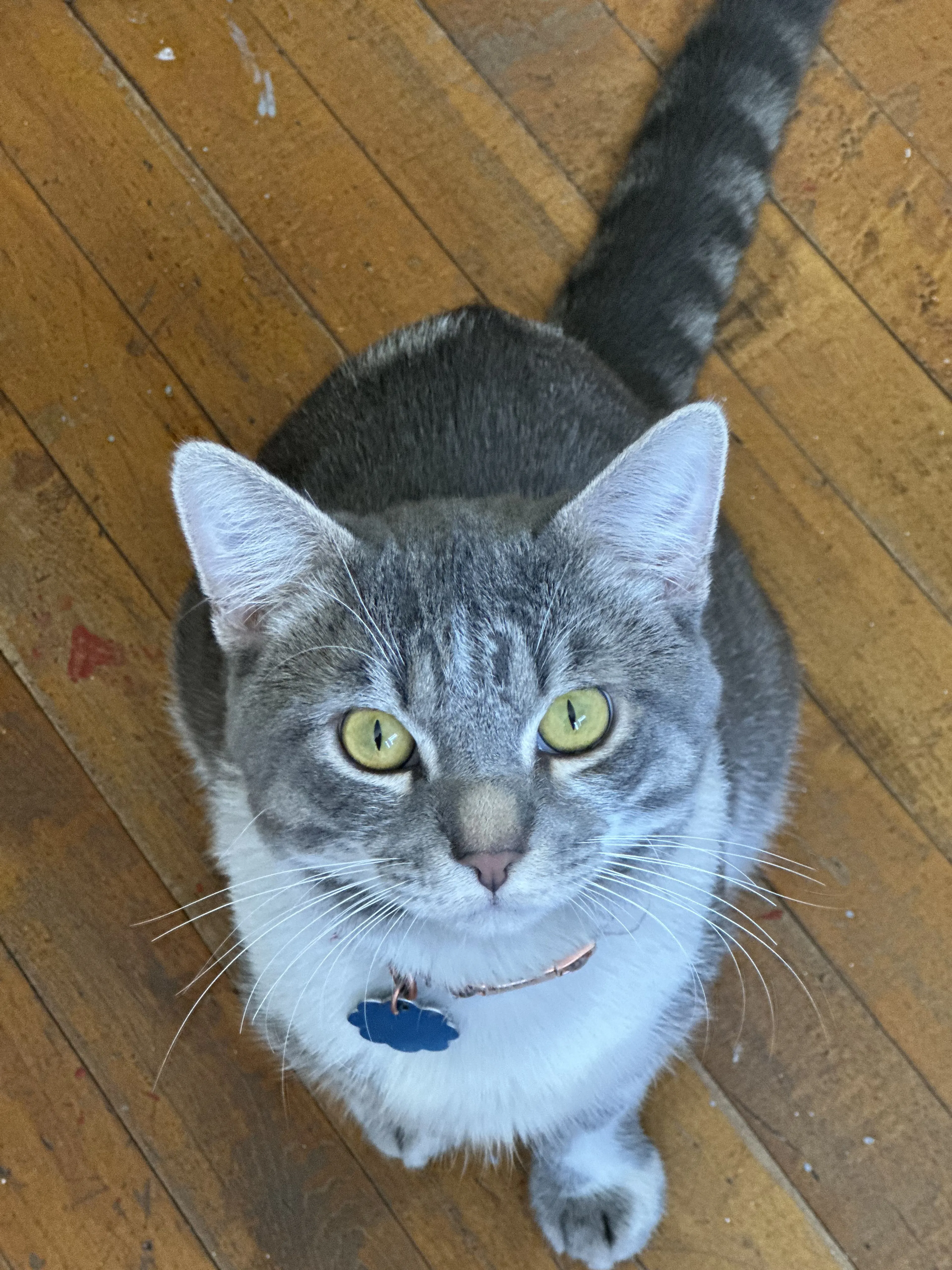 -2