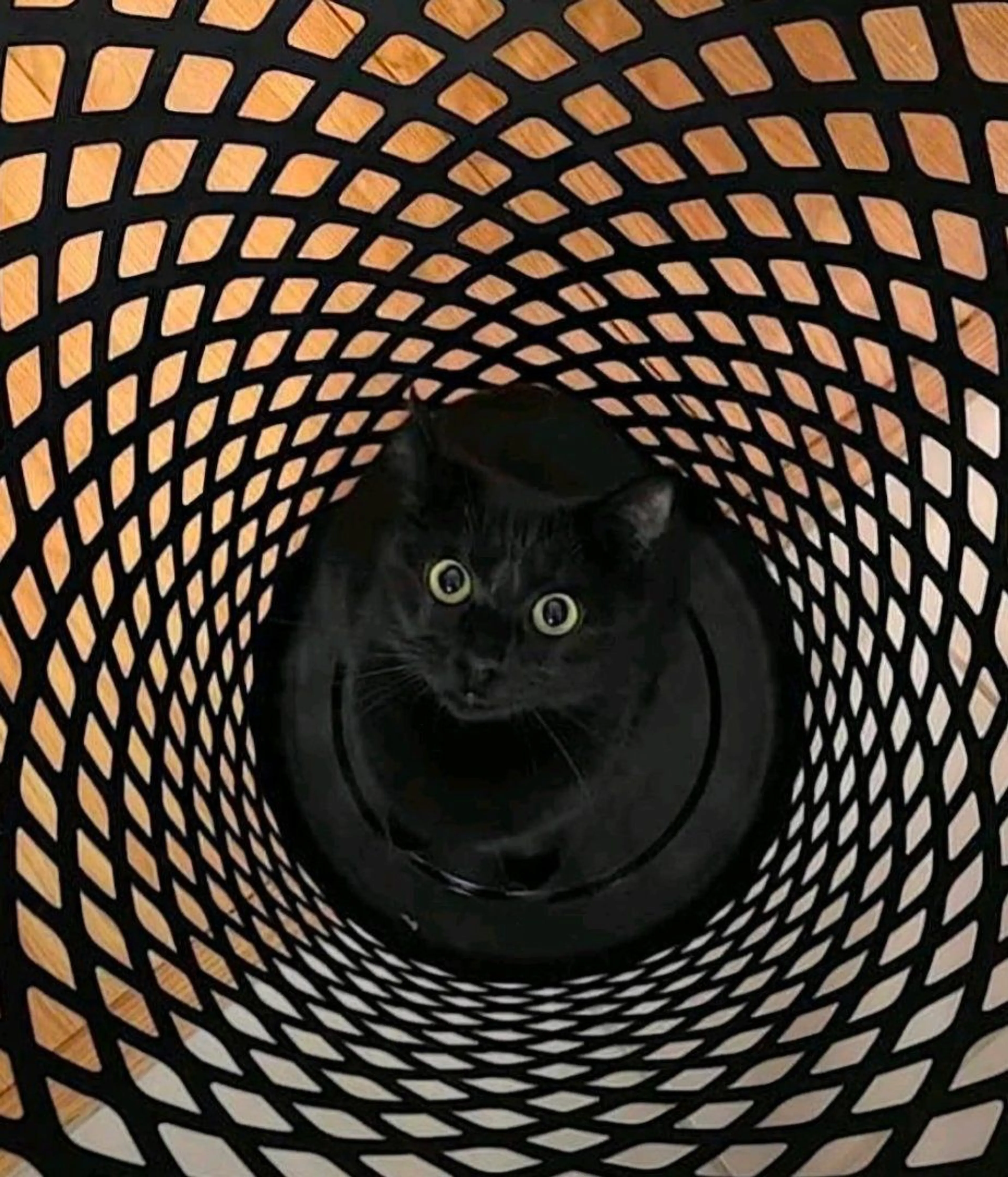 -1