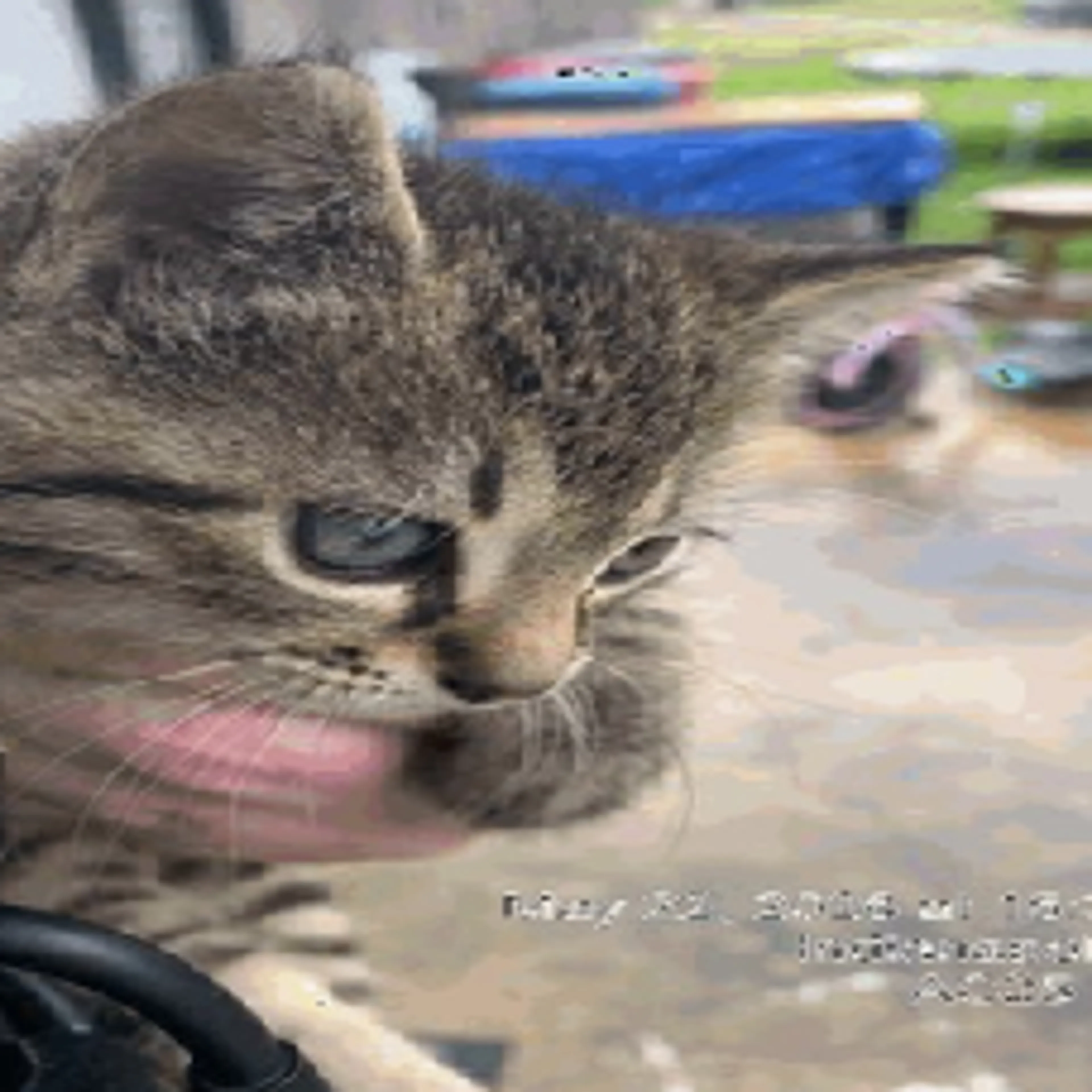 cdn image