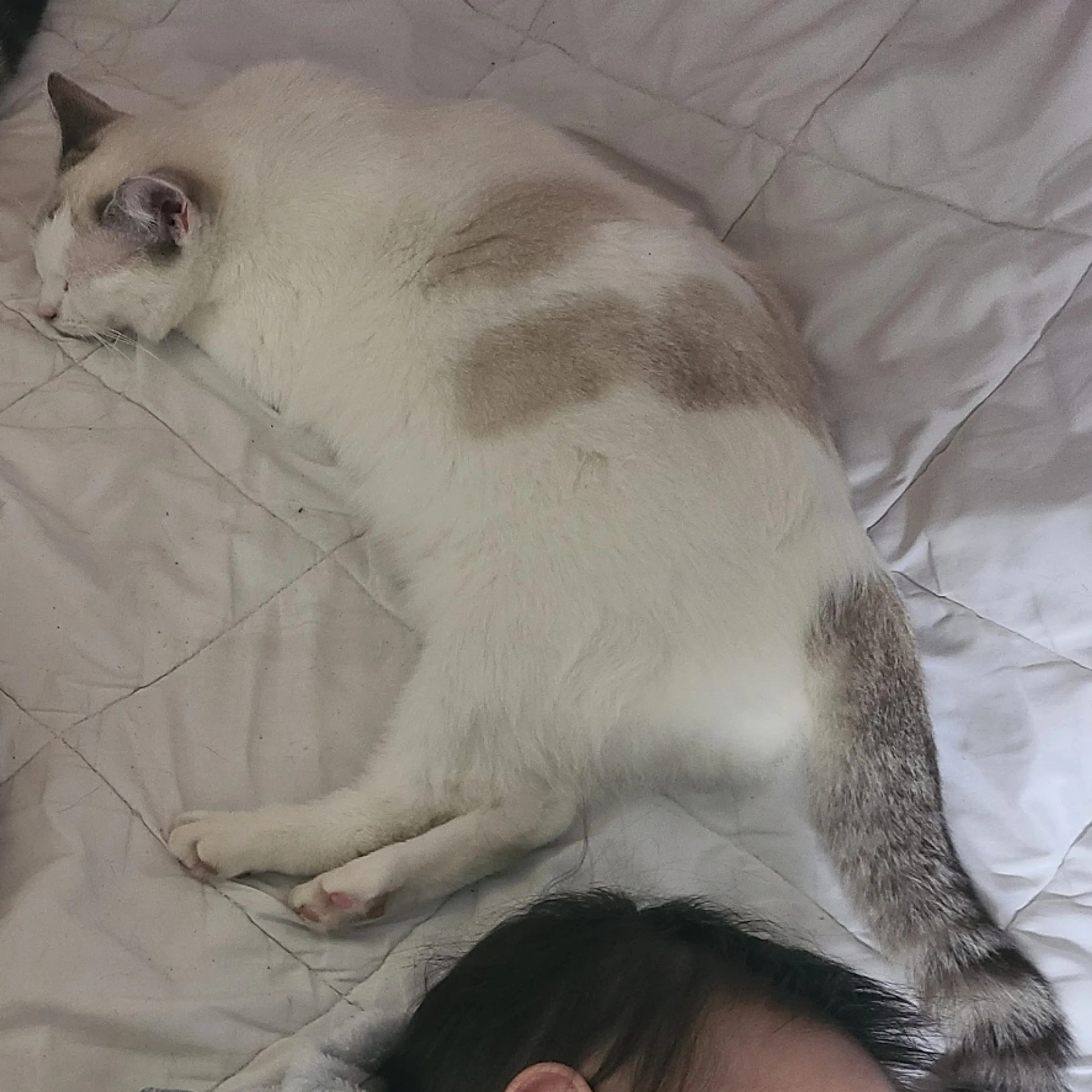 -1