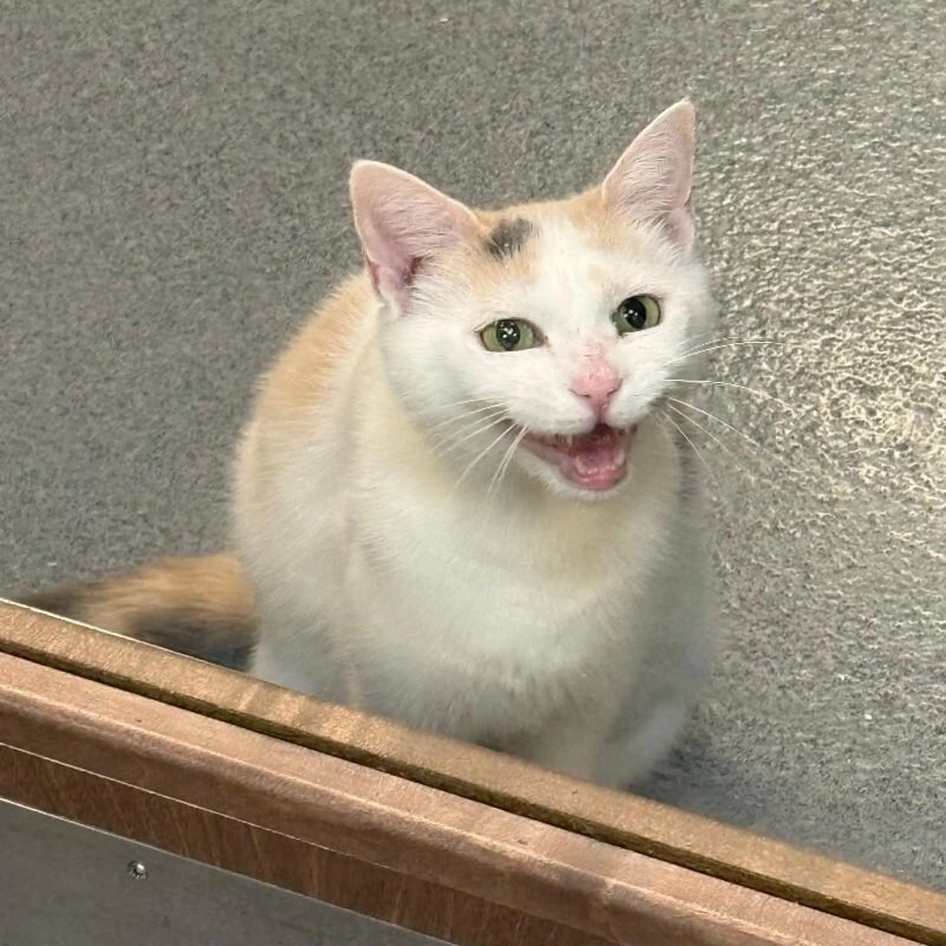 -3