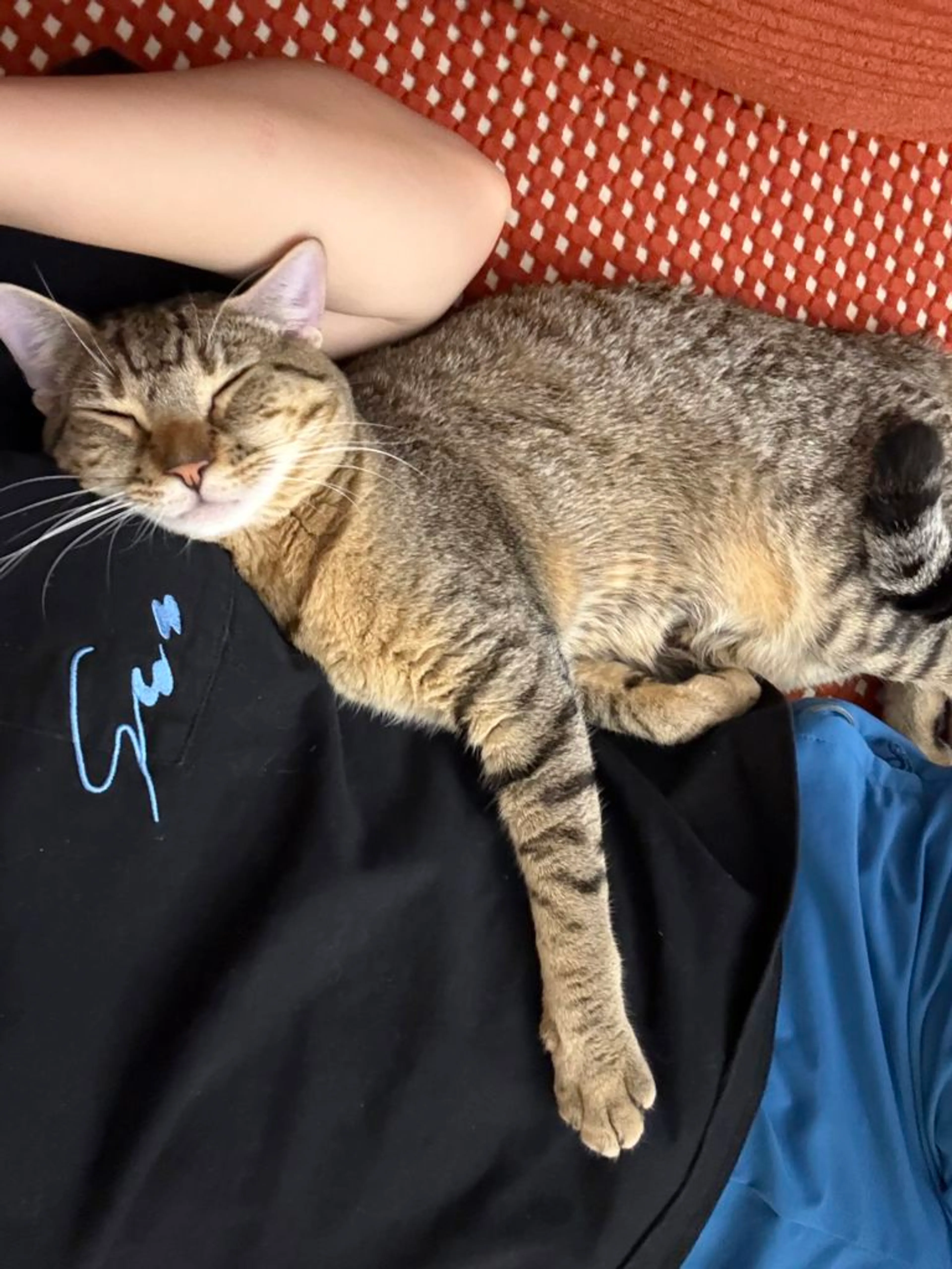 -7