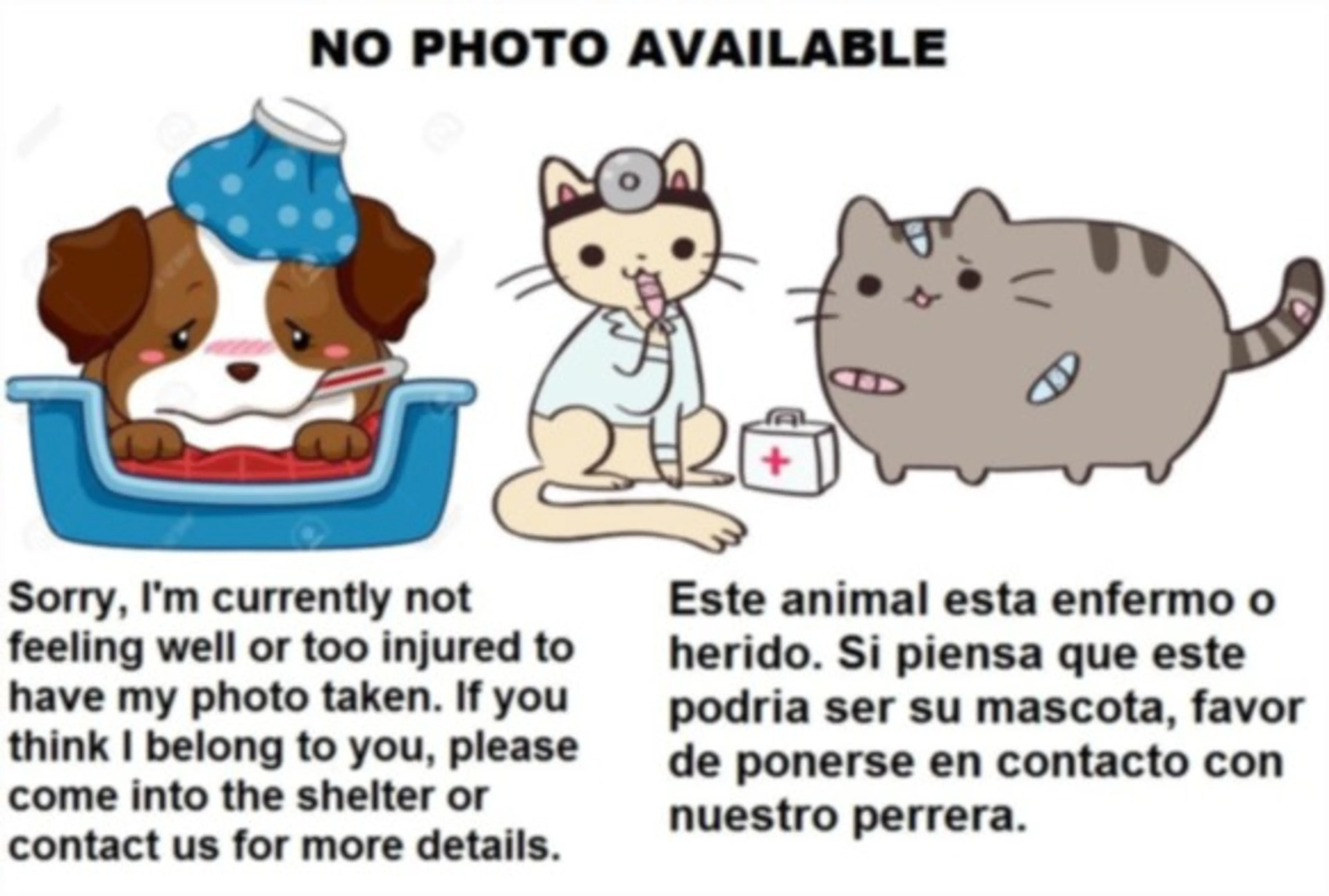 cdn image