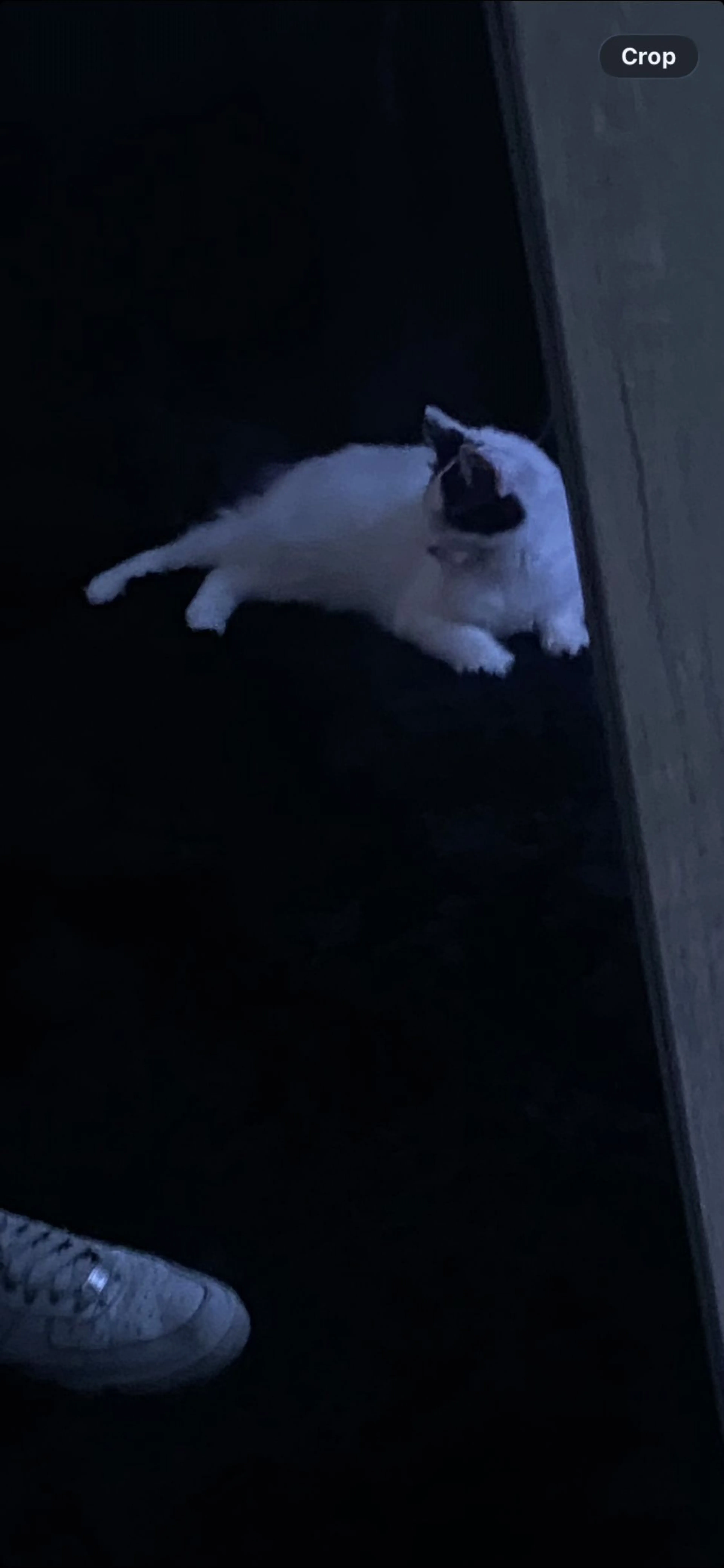 -1