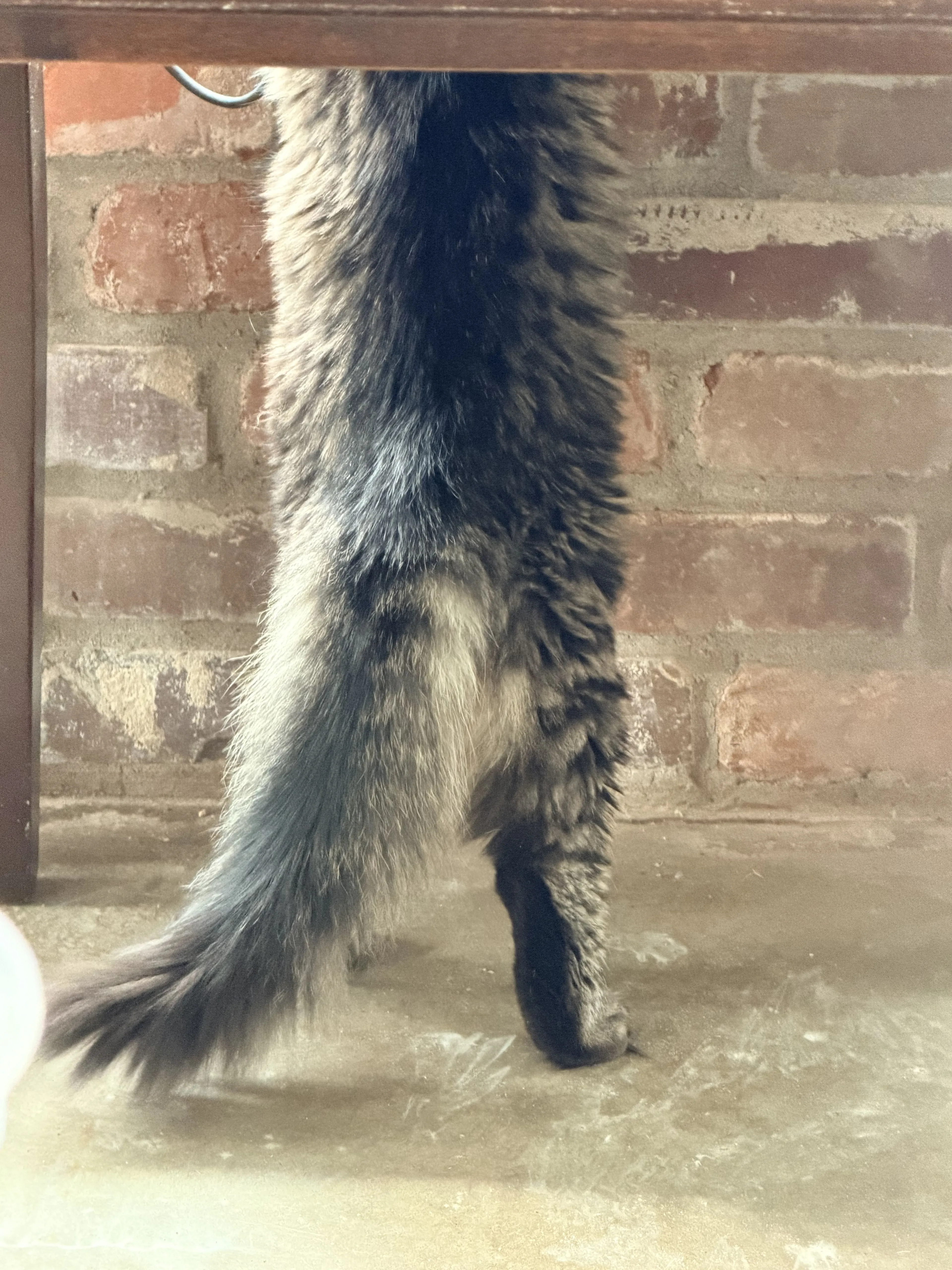-1