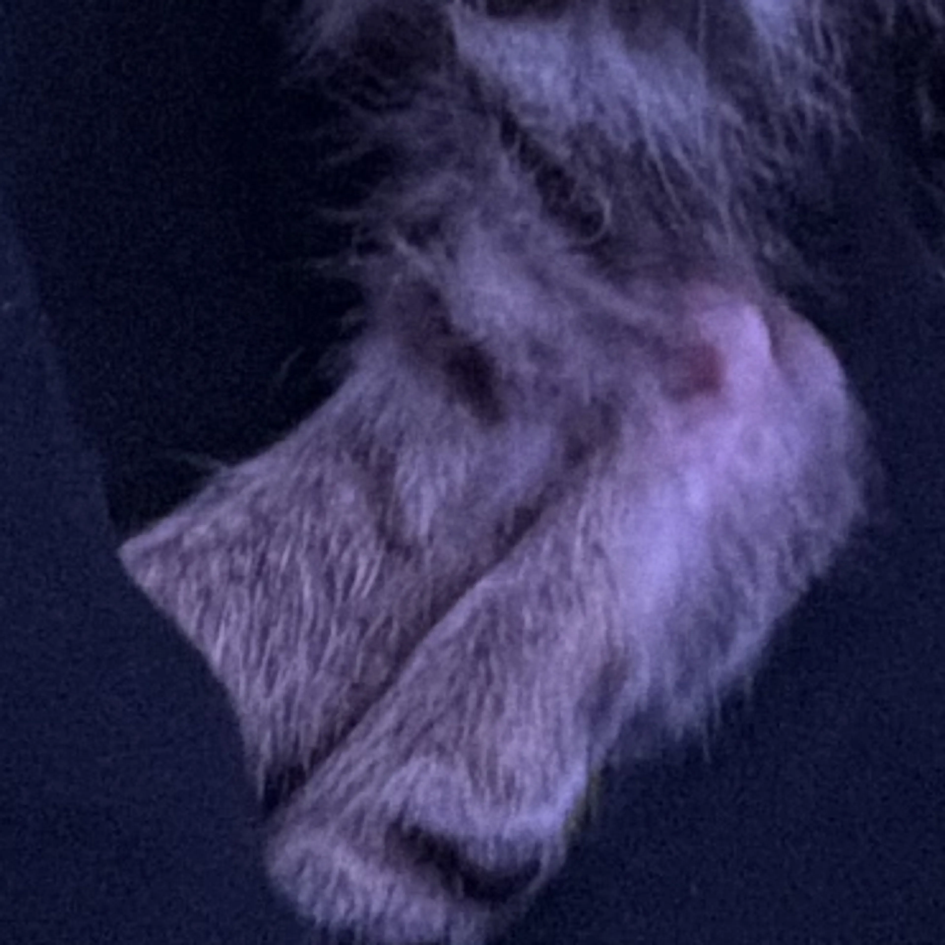 -3
