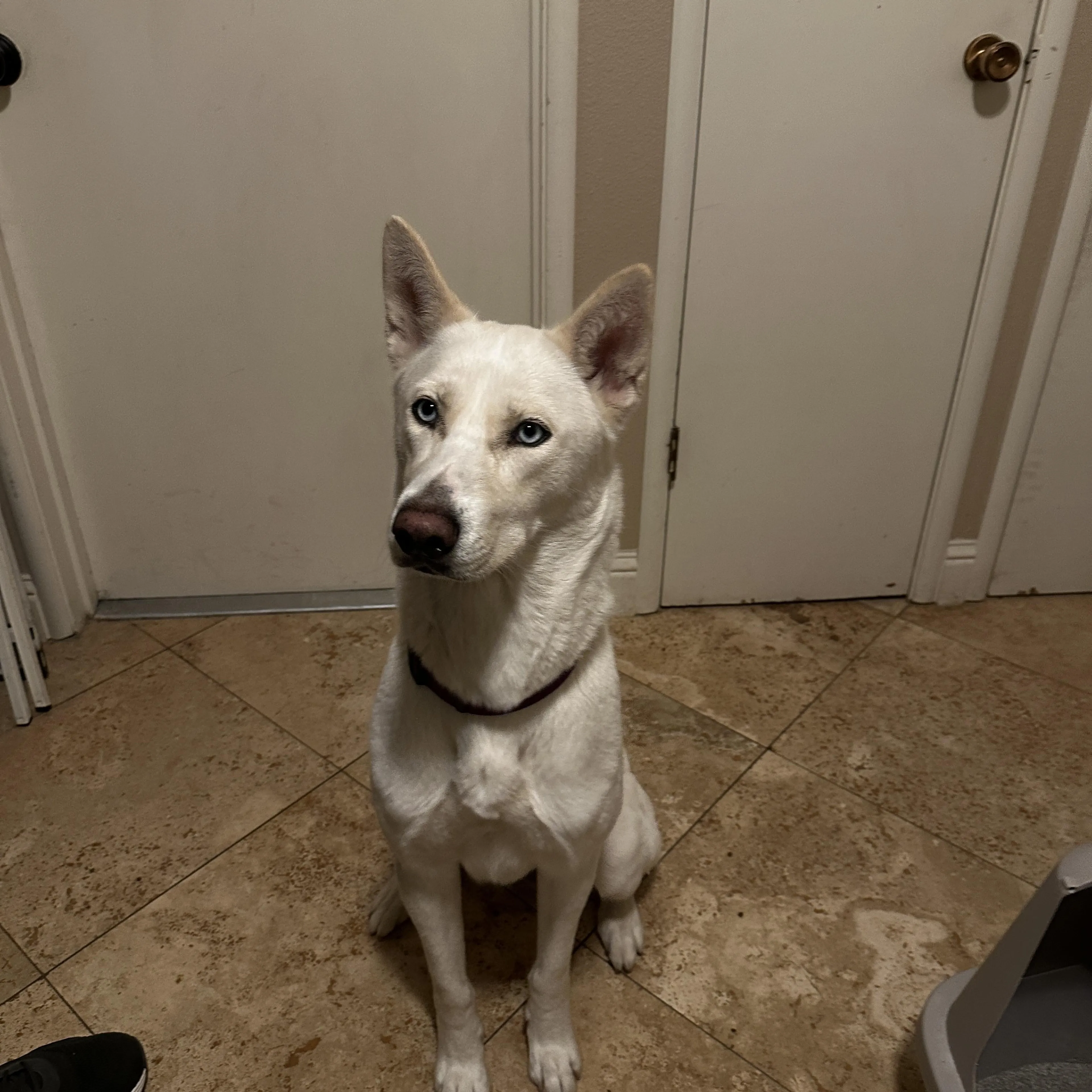 -1