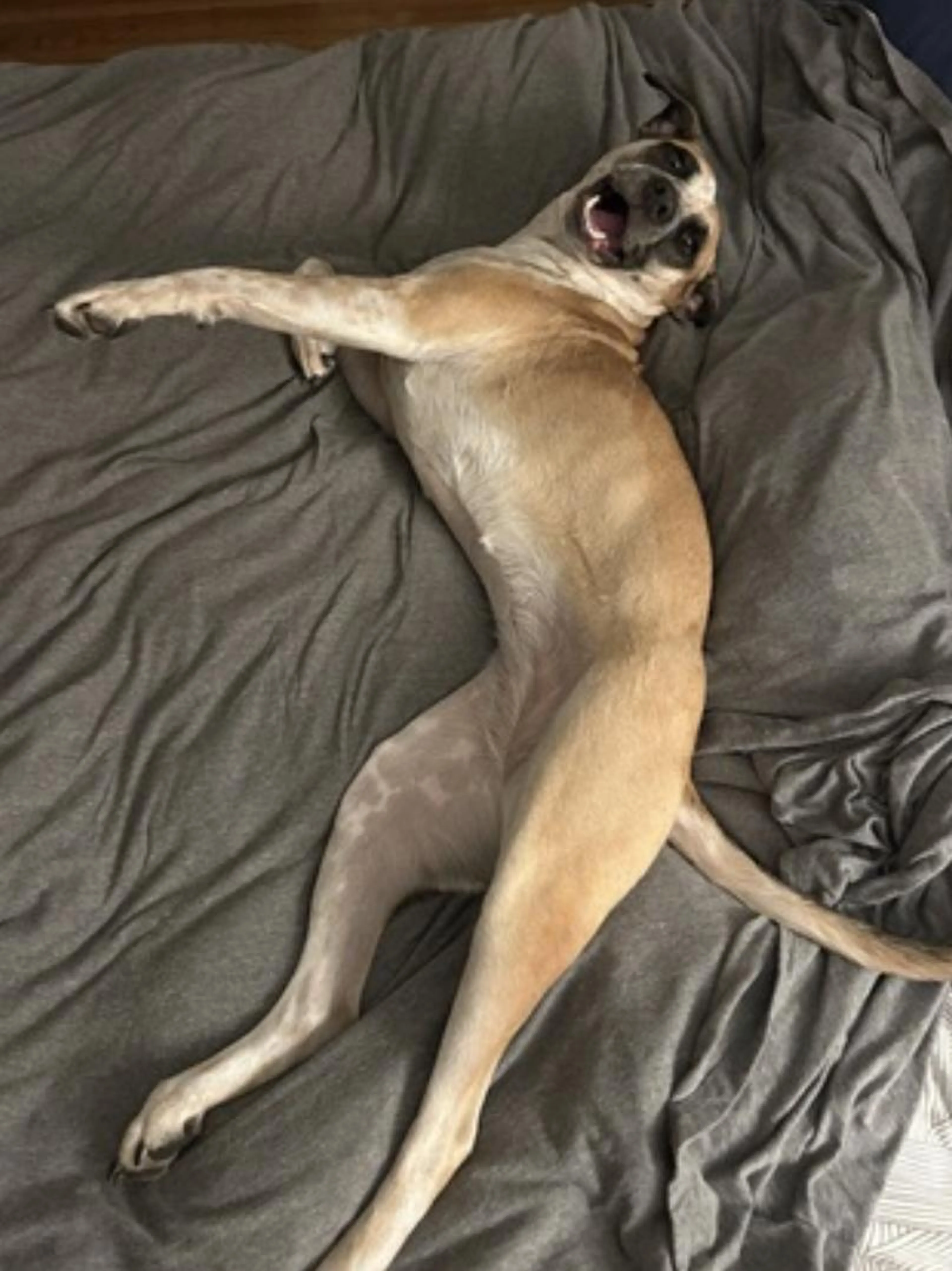-2